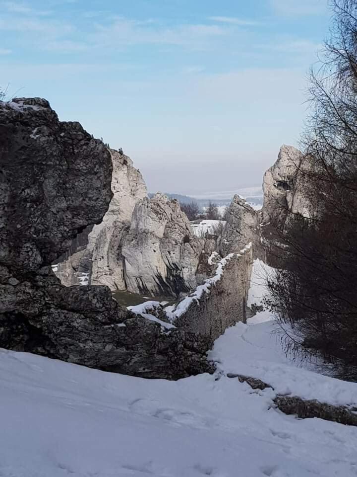 Photo 35