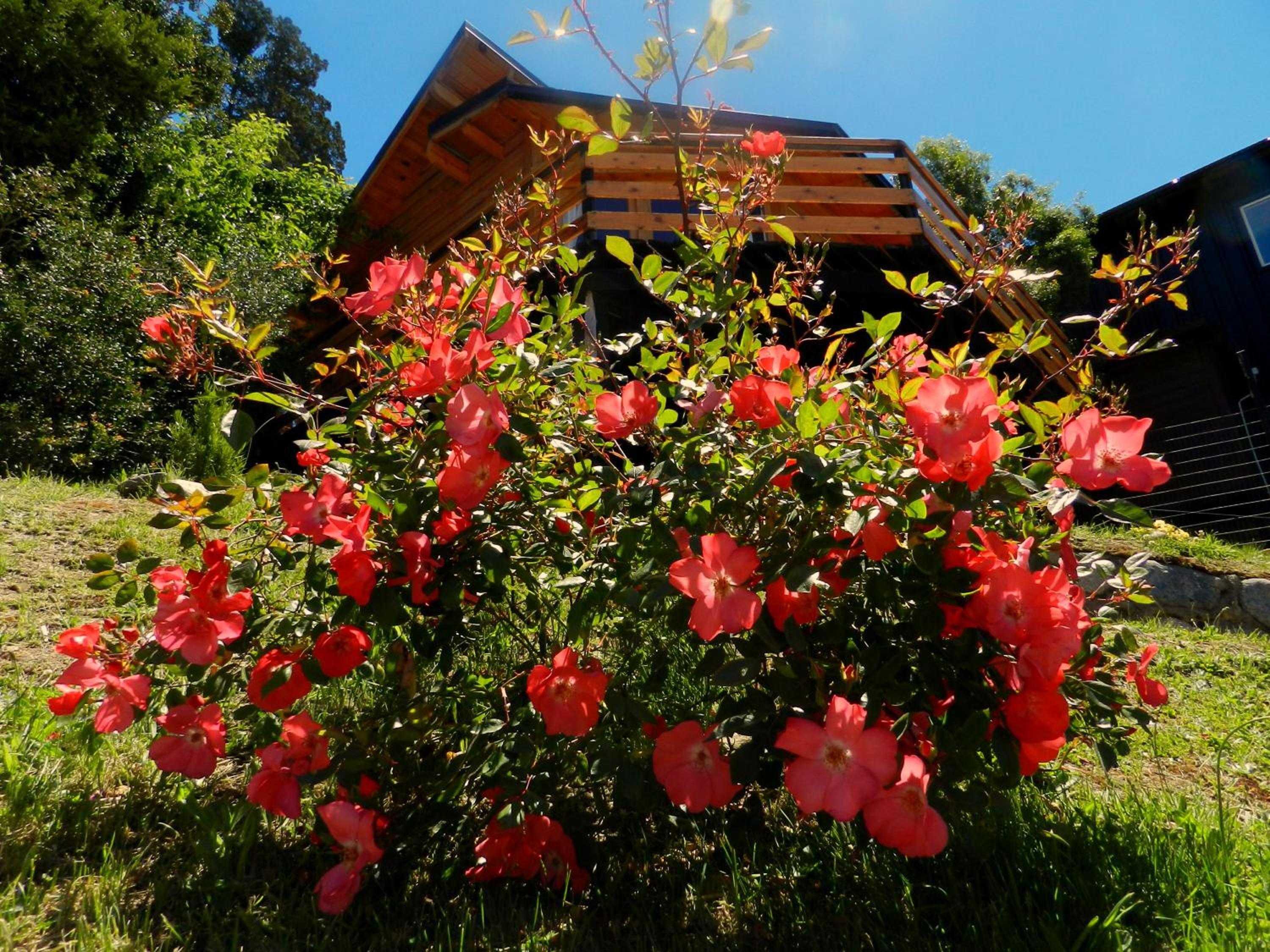 Casita de Madera