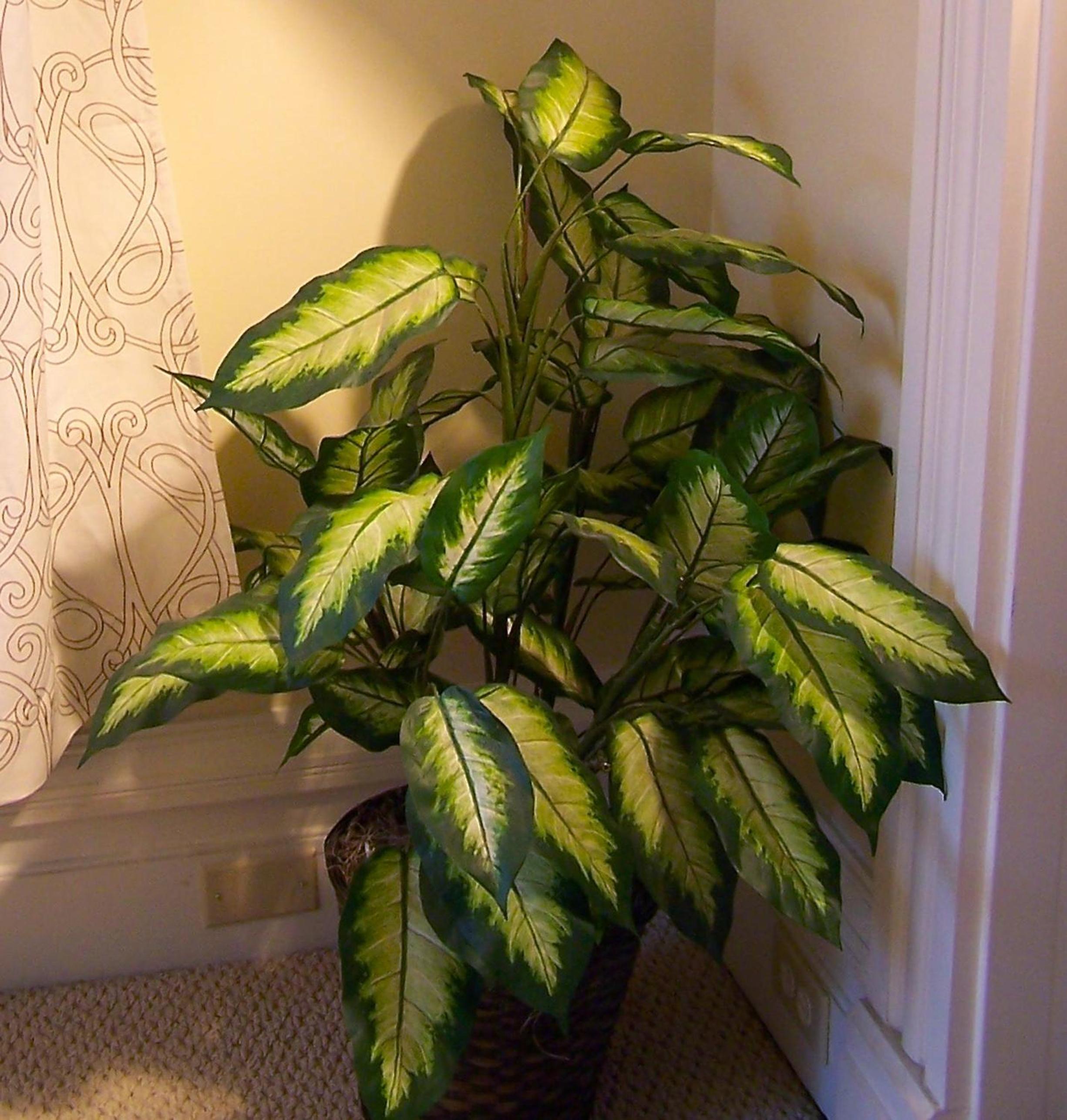 Photo 42