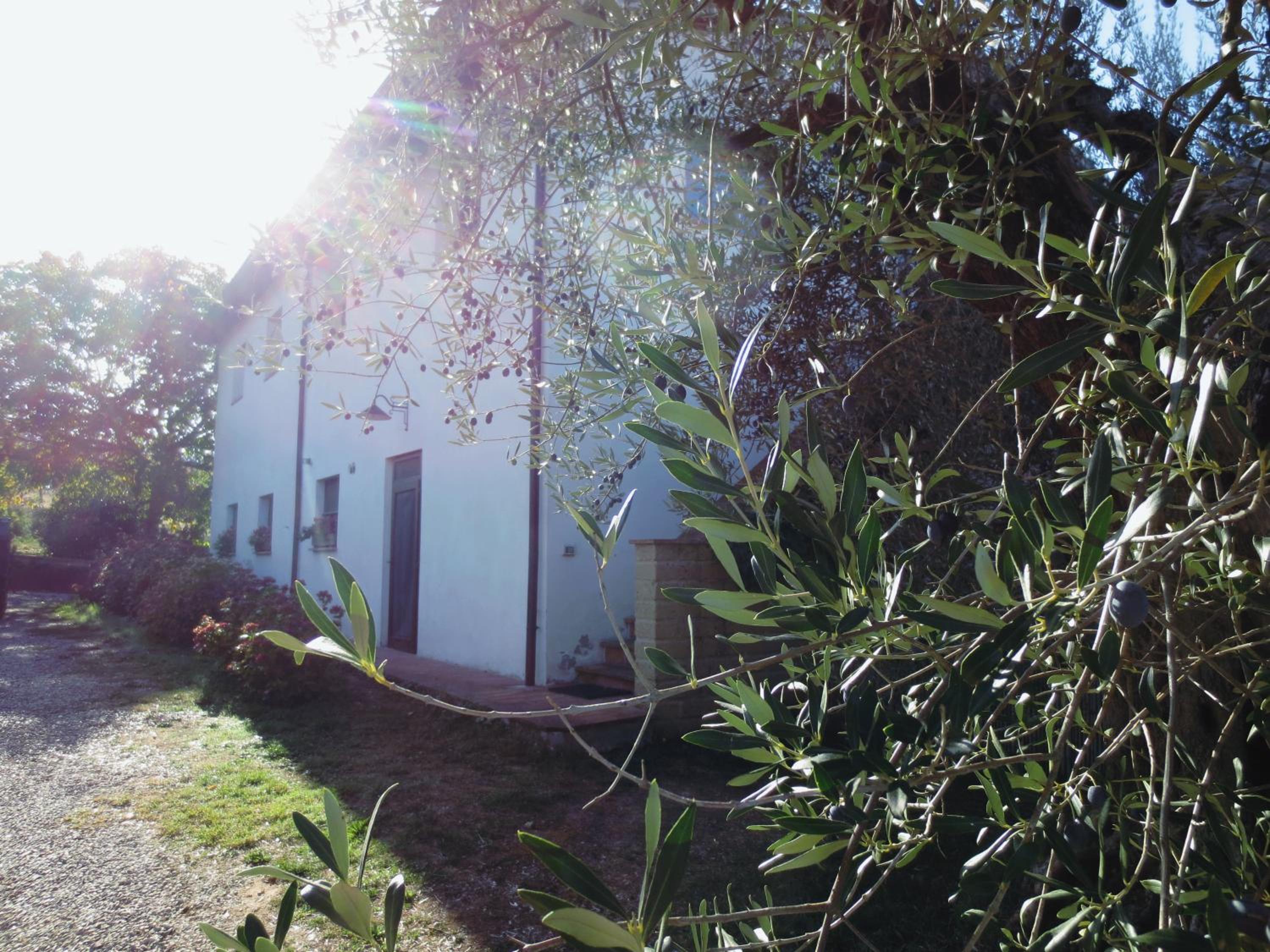 Photo 23