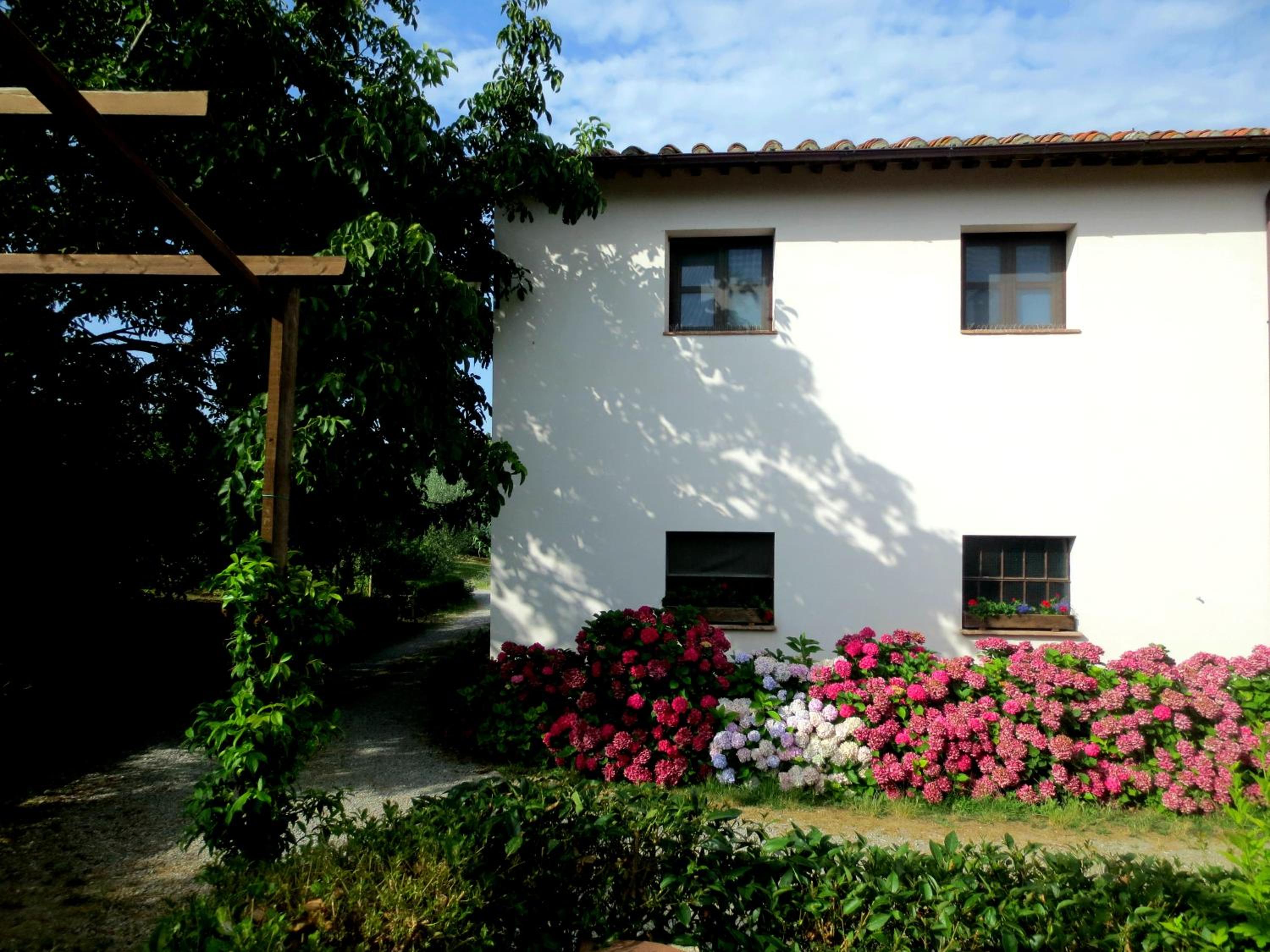 Photo 25