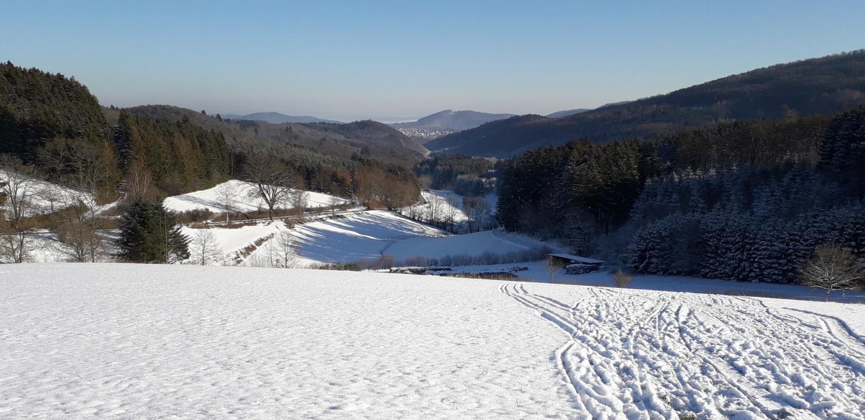Mia und Michel im Sauerland