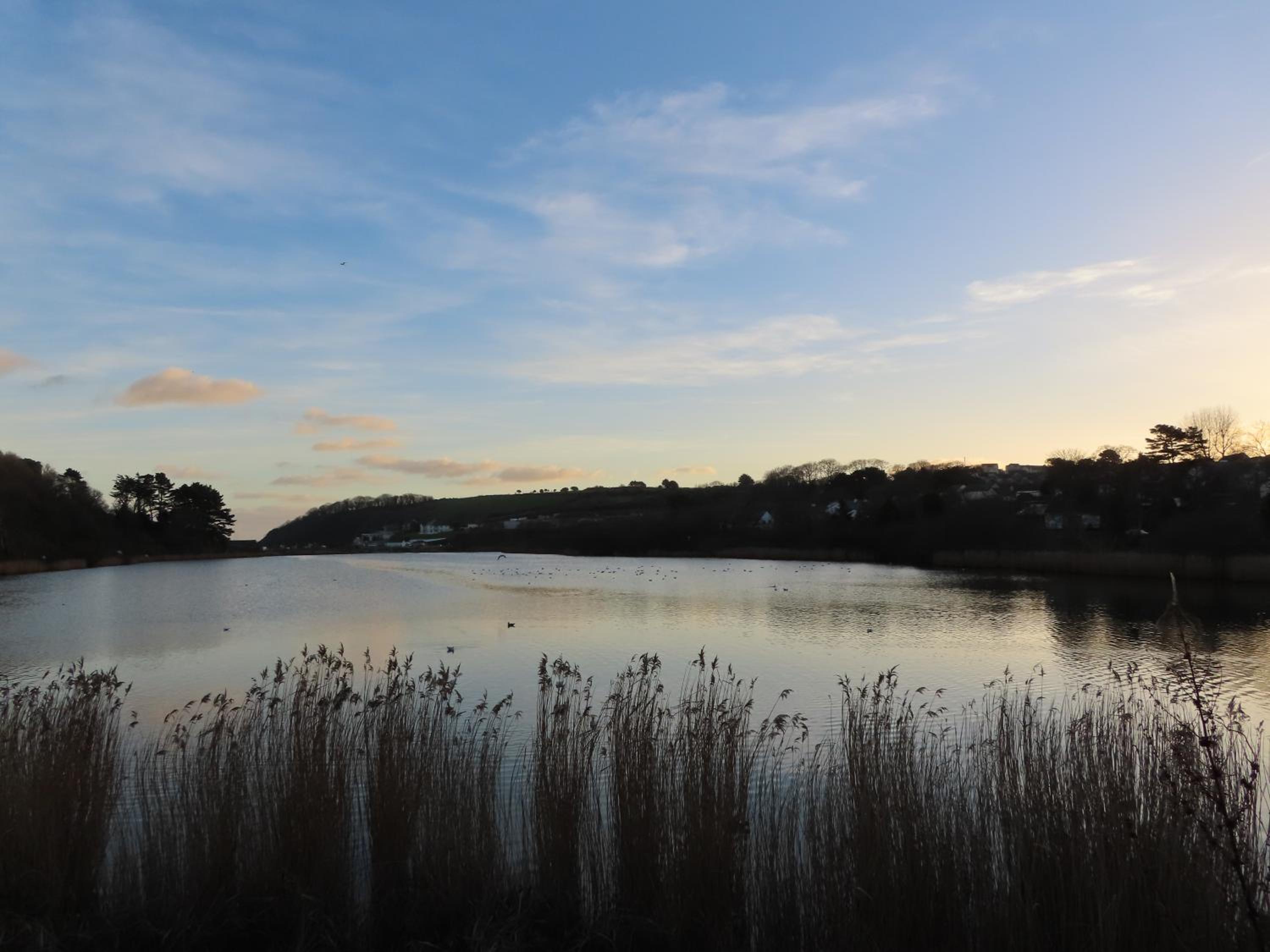 Falmouth Bay