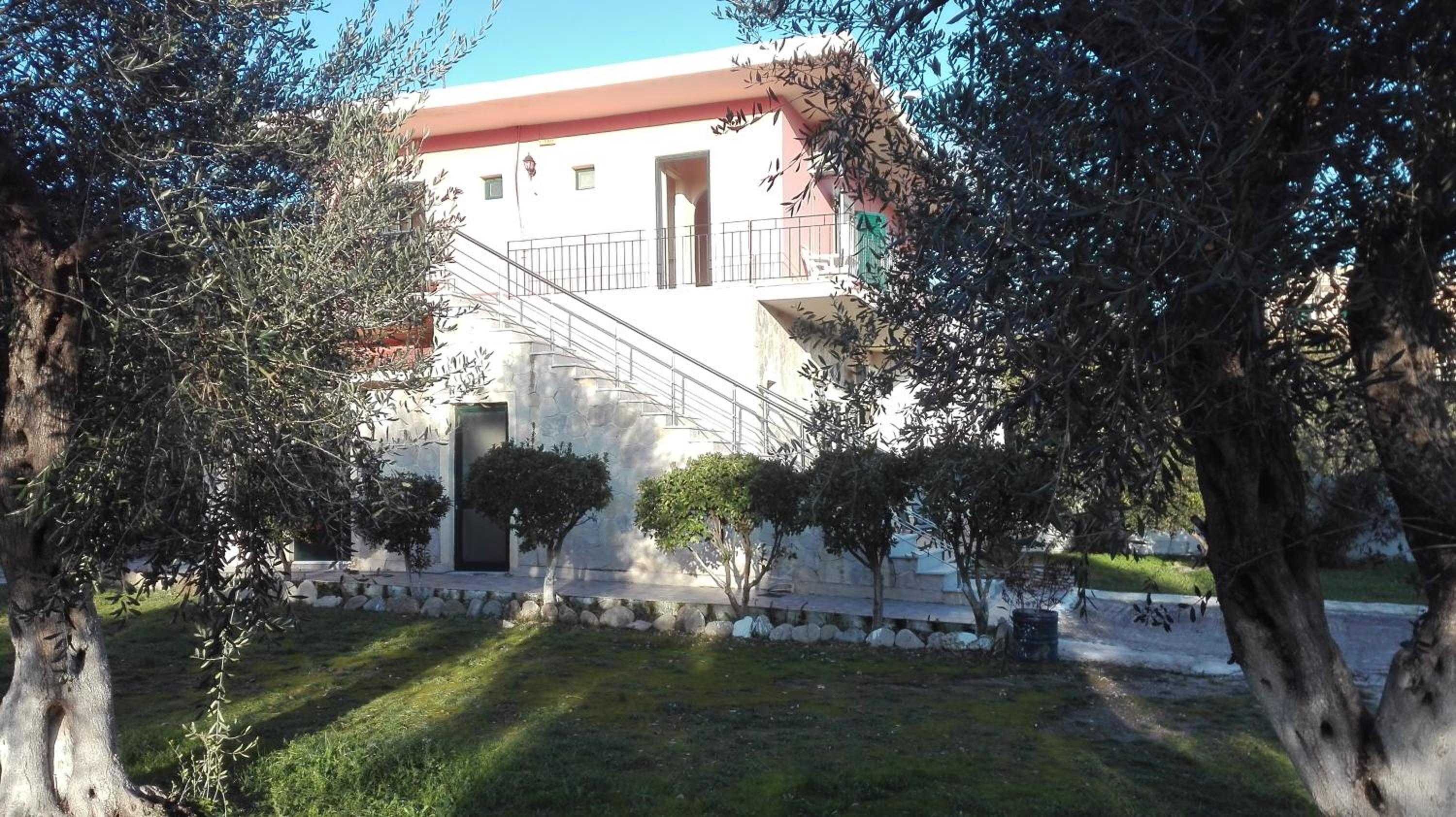 Olive house view 2