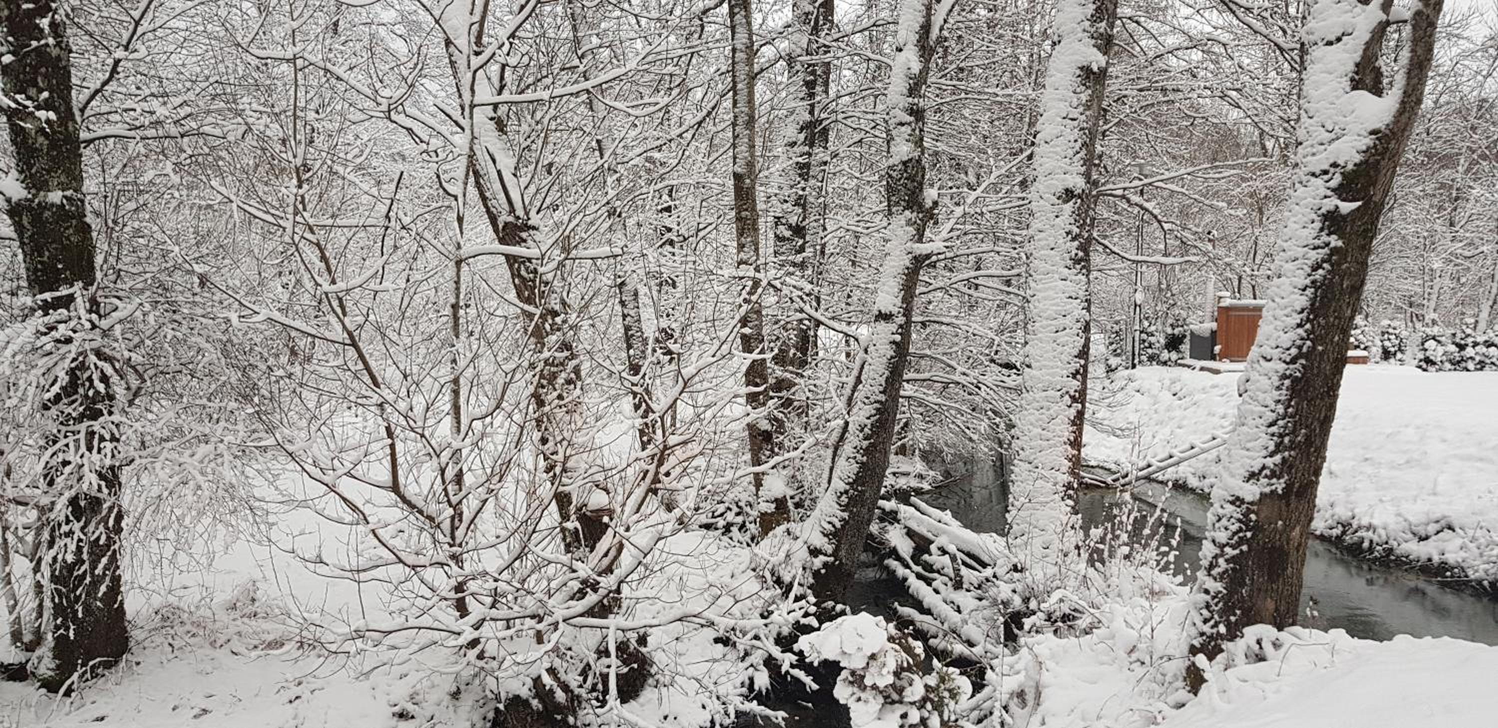 Vodenica Vrelo Chalets