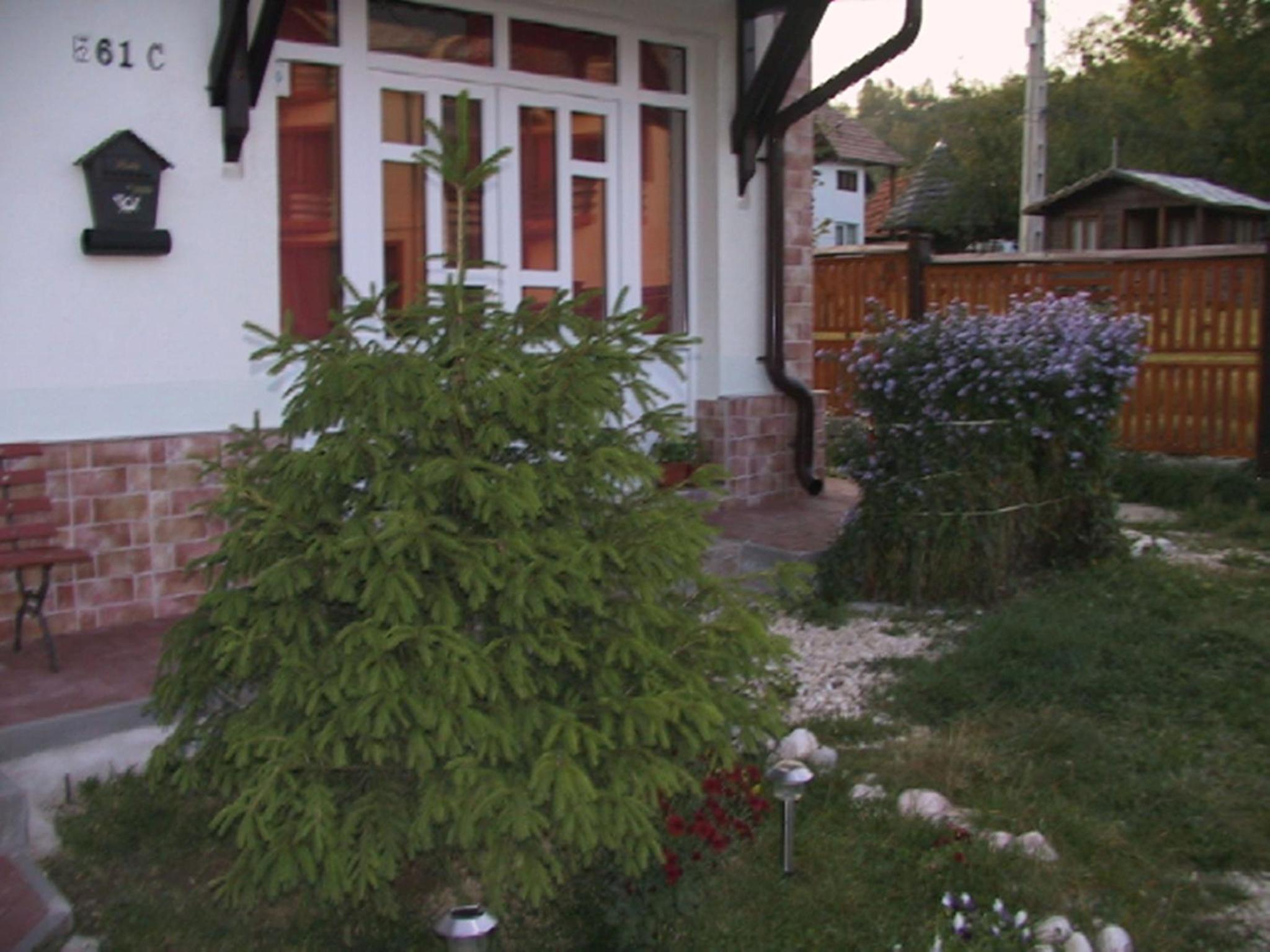 Photo 39