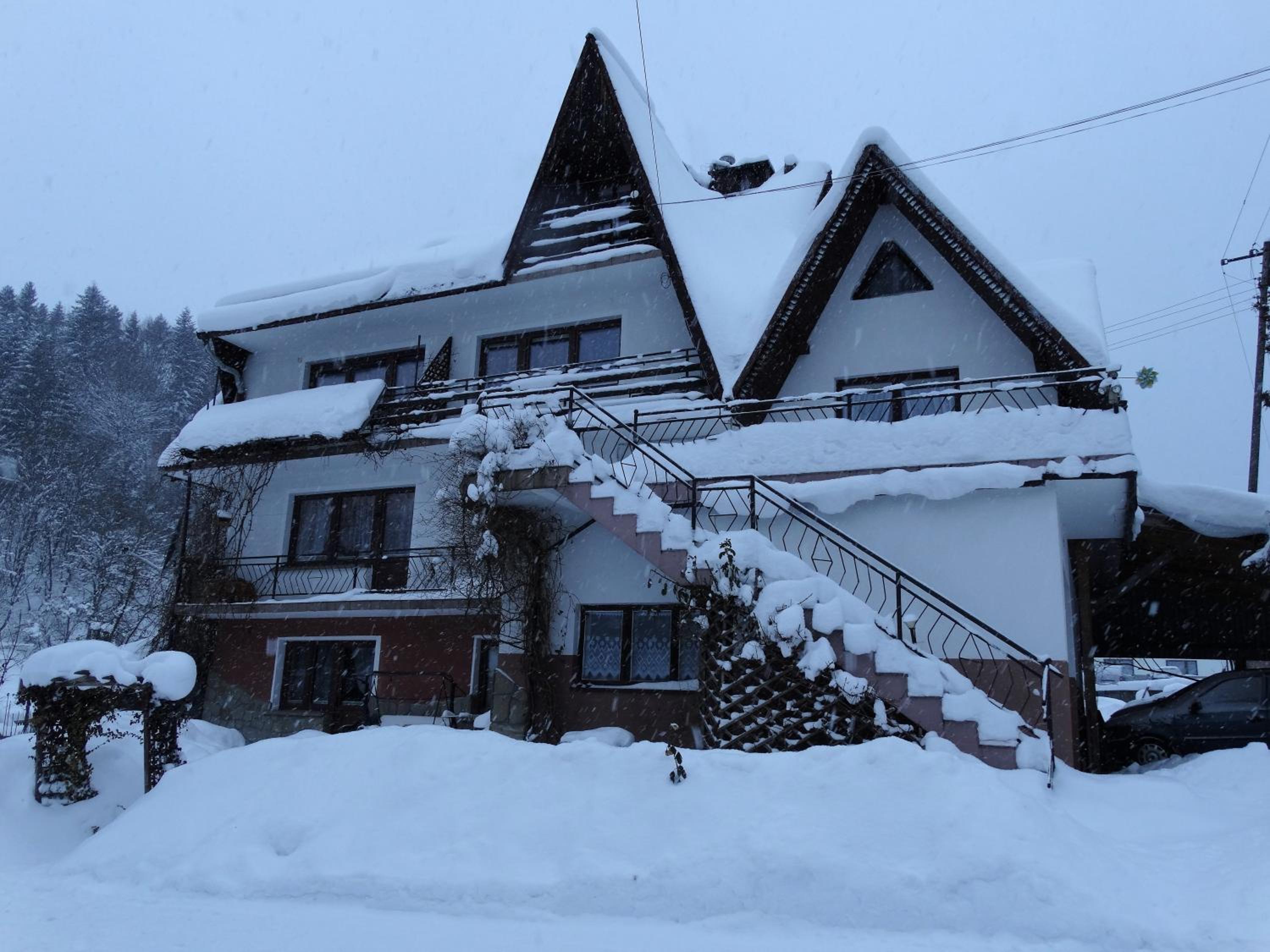 Photo 43
