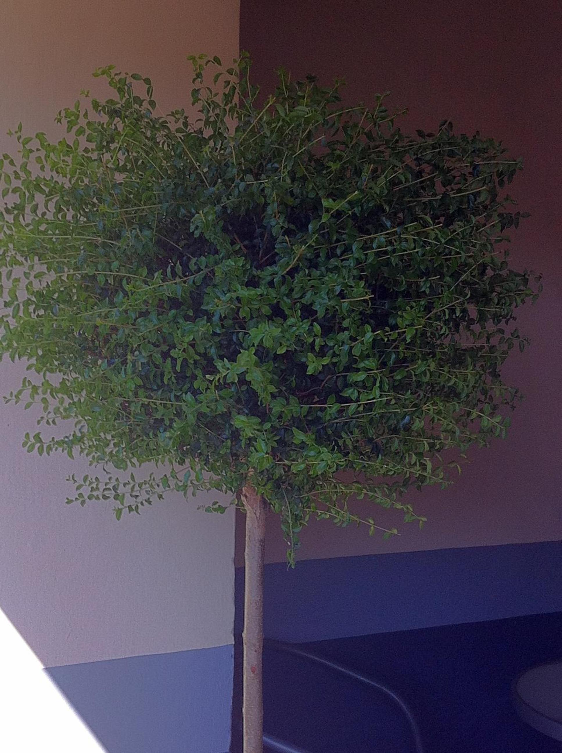 Photo 44