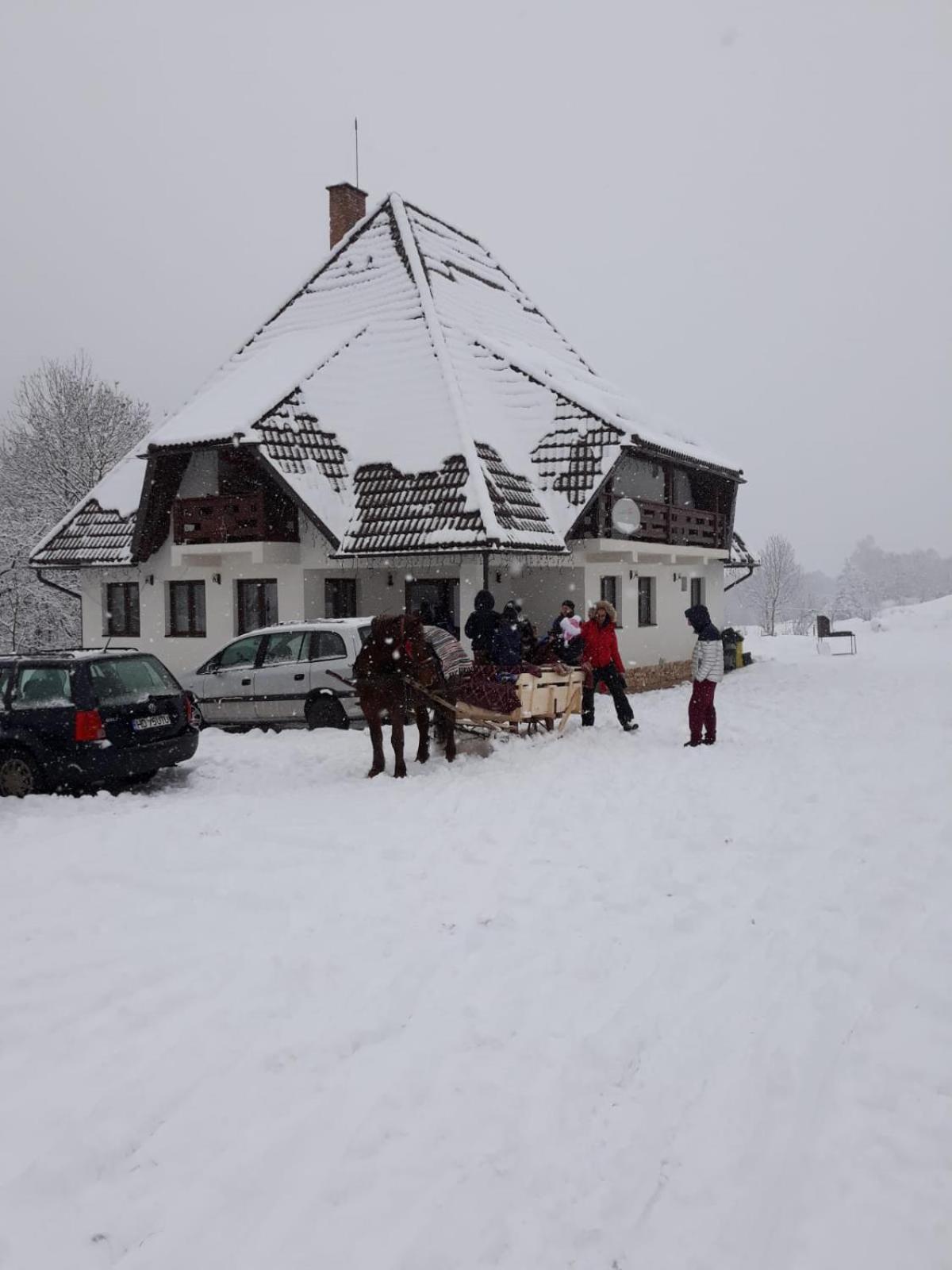 Photo 46