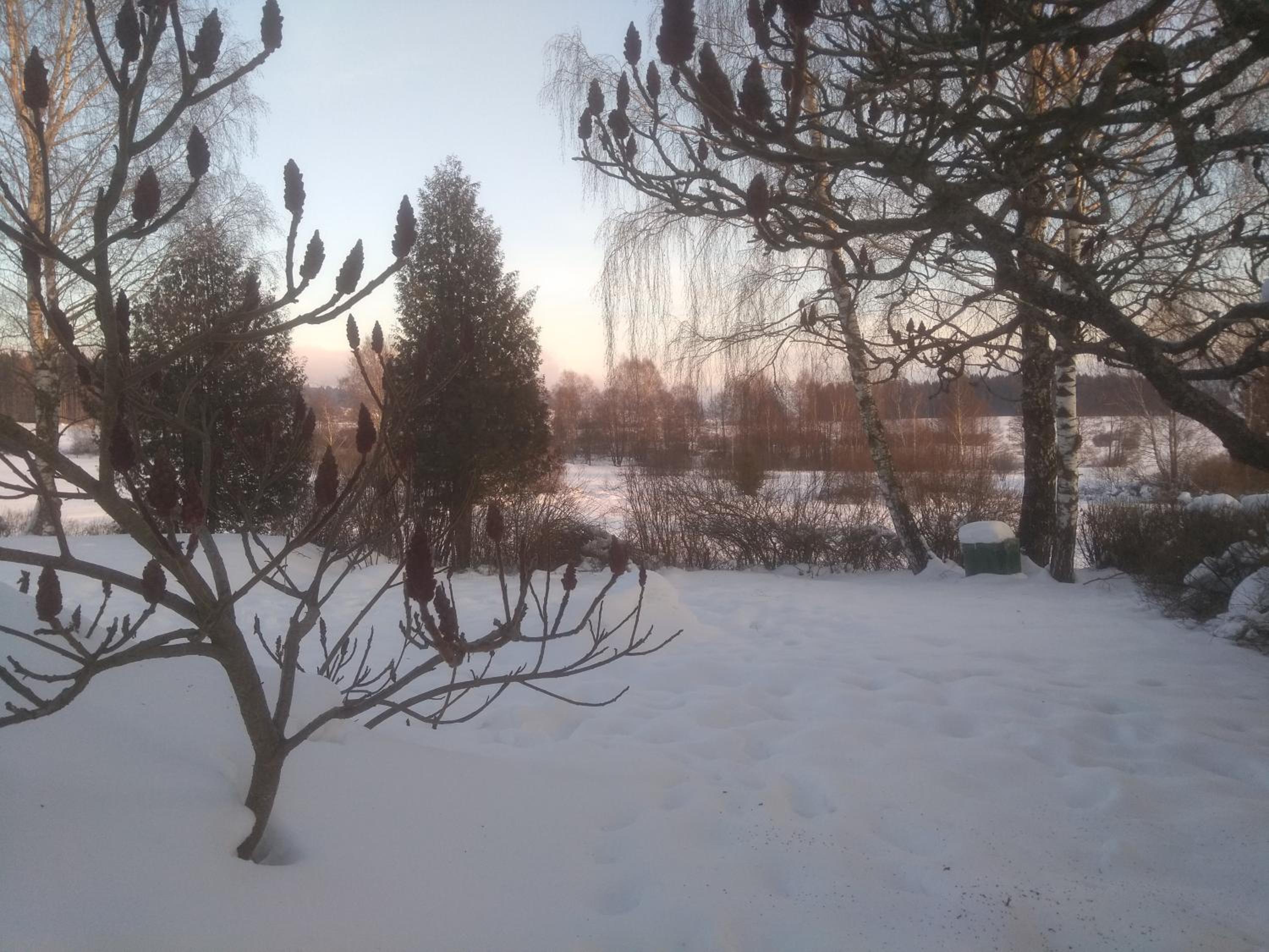 Photo 49