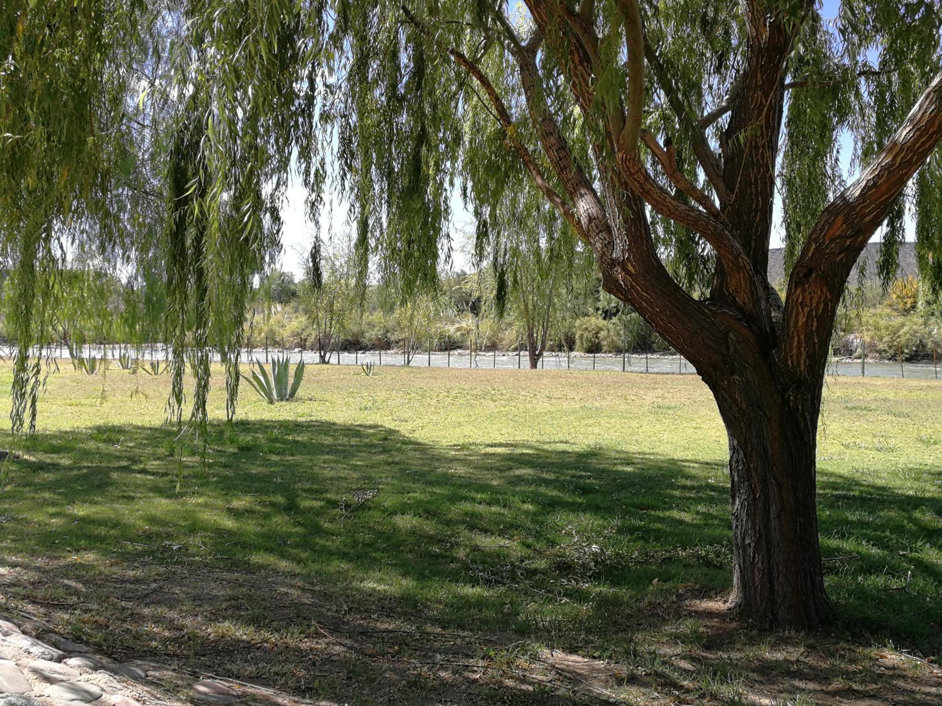 Cabañas 