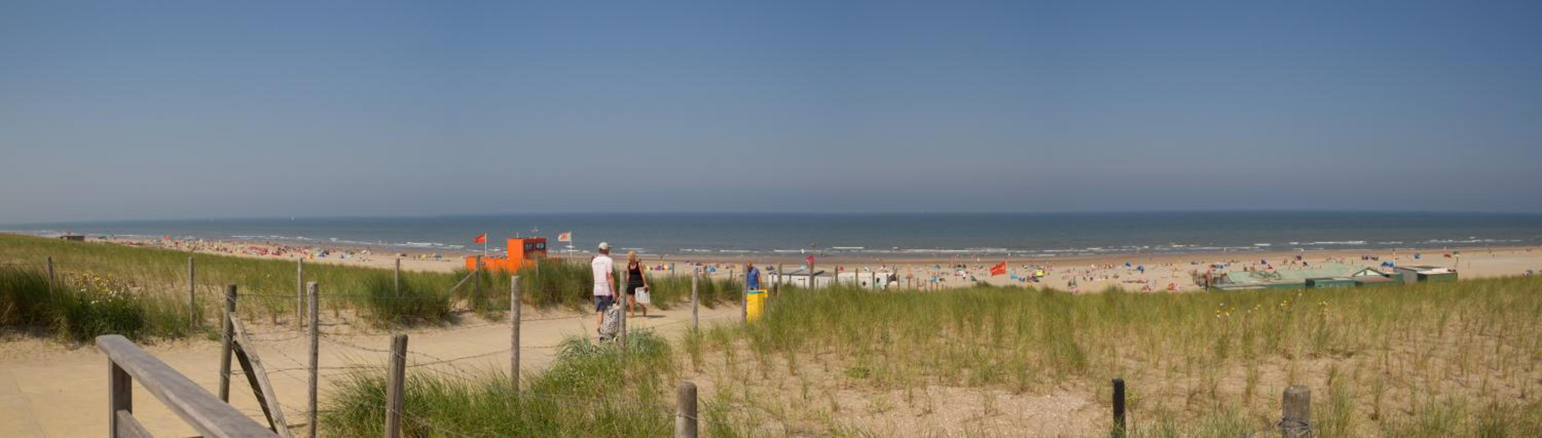 Photo 44