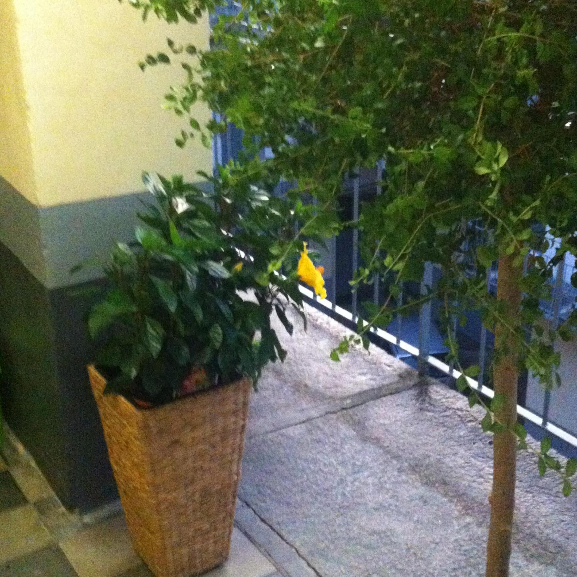 Photo 39