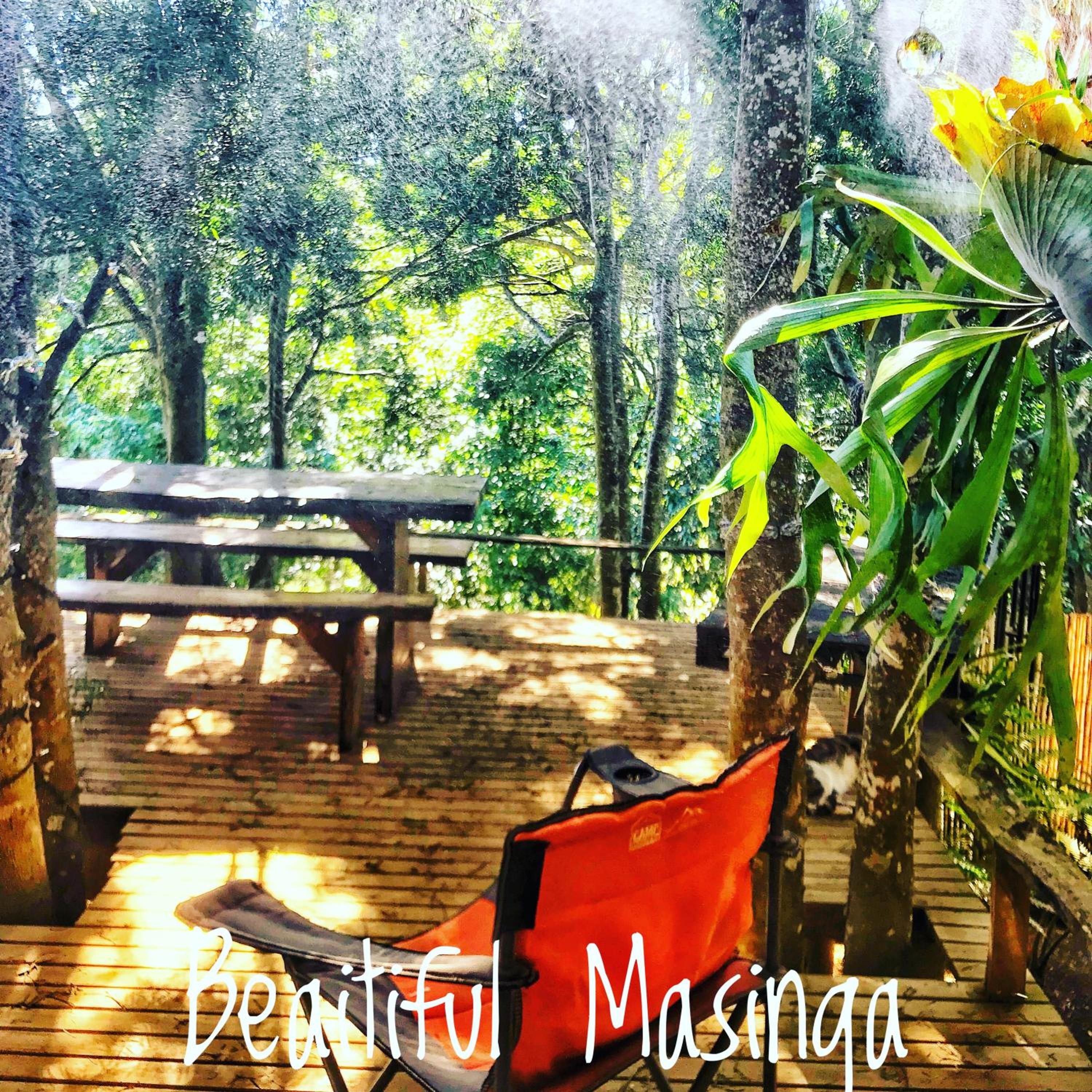 Masinga view 2