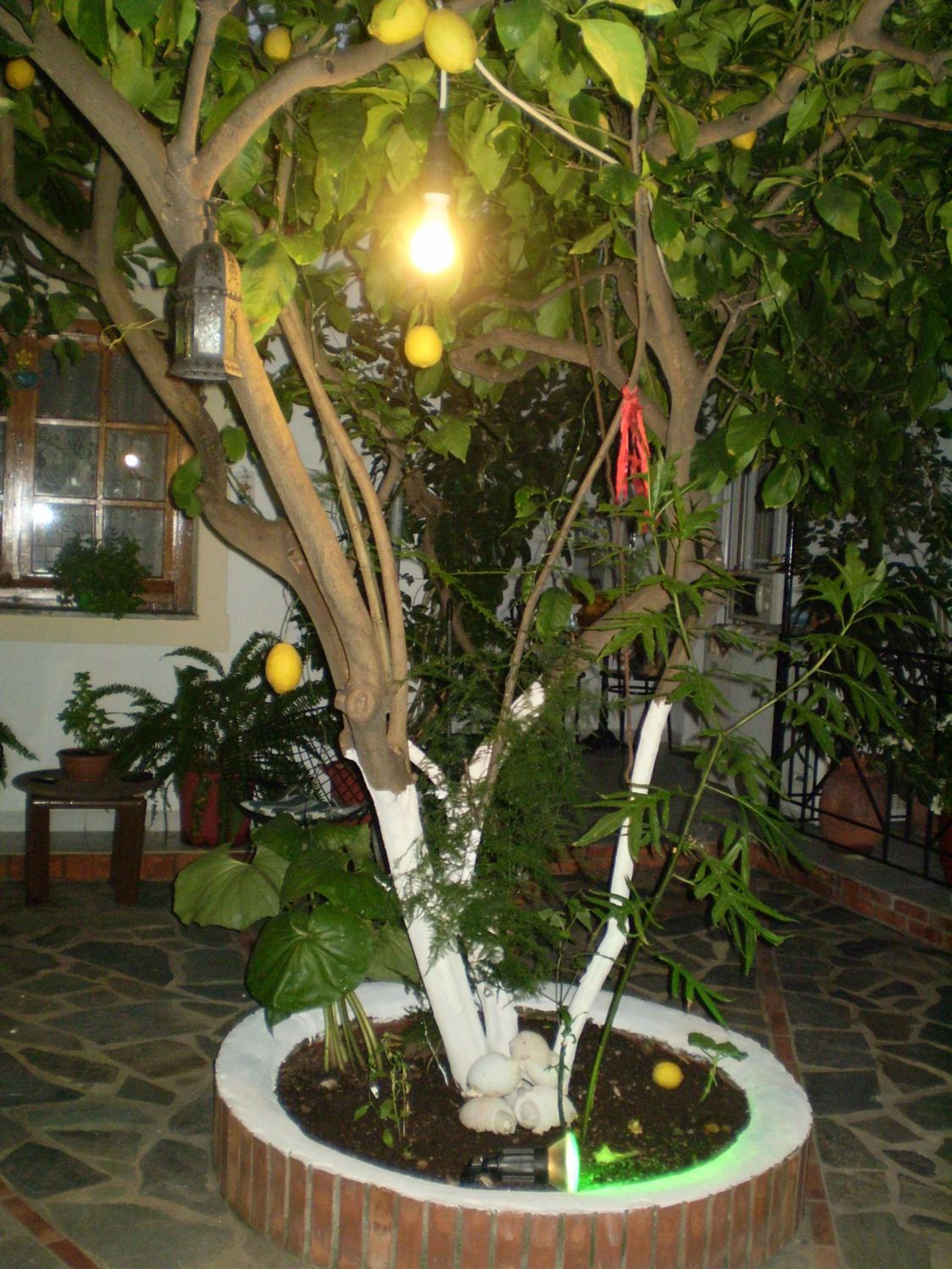 Photo 53