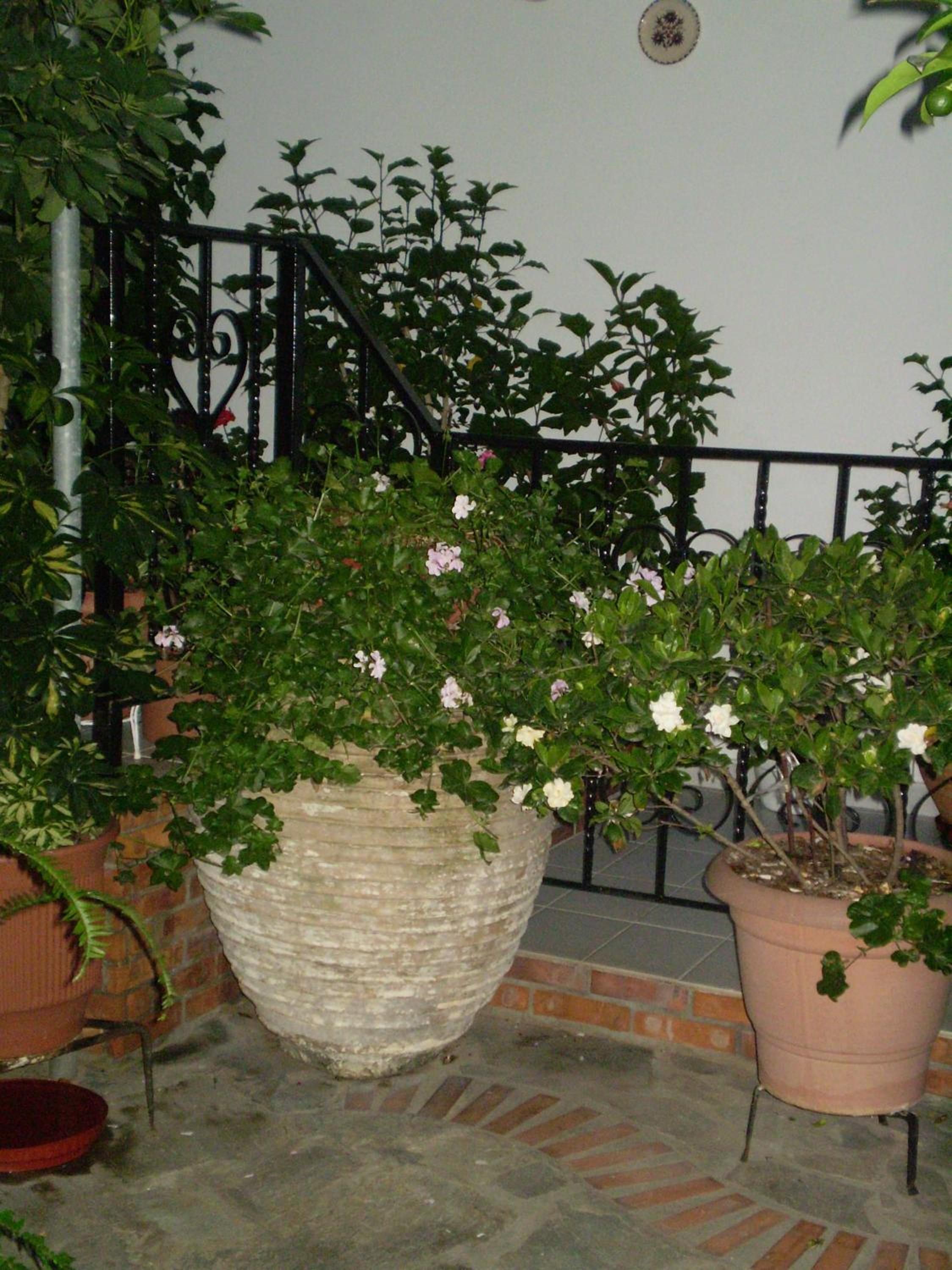 Photo 57