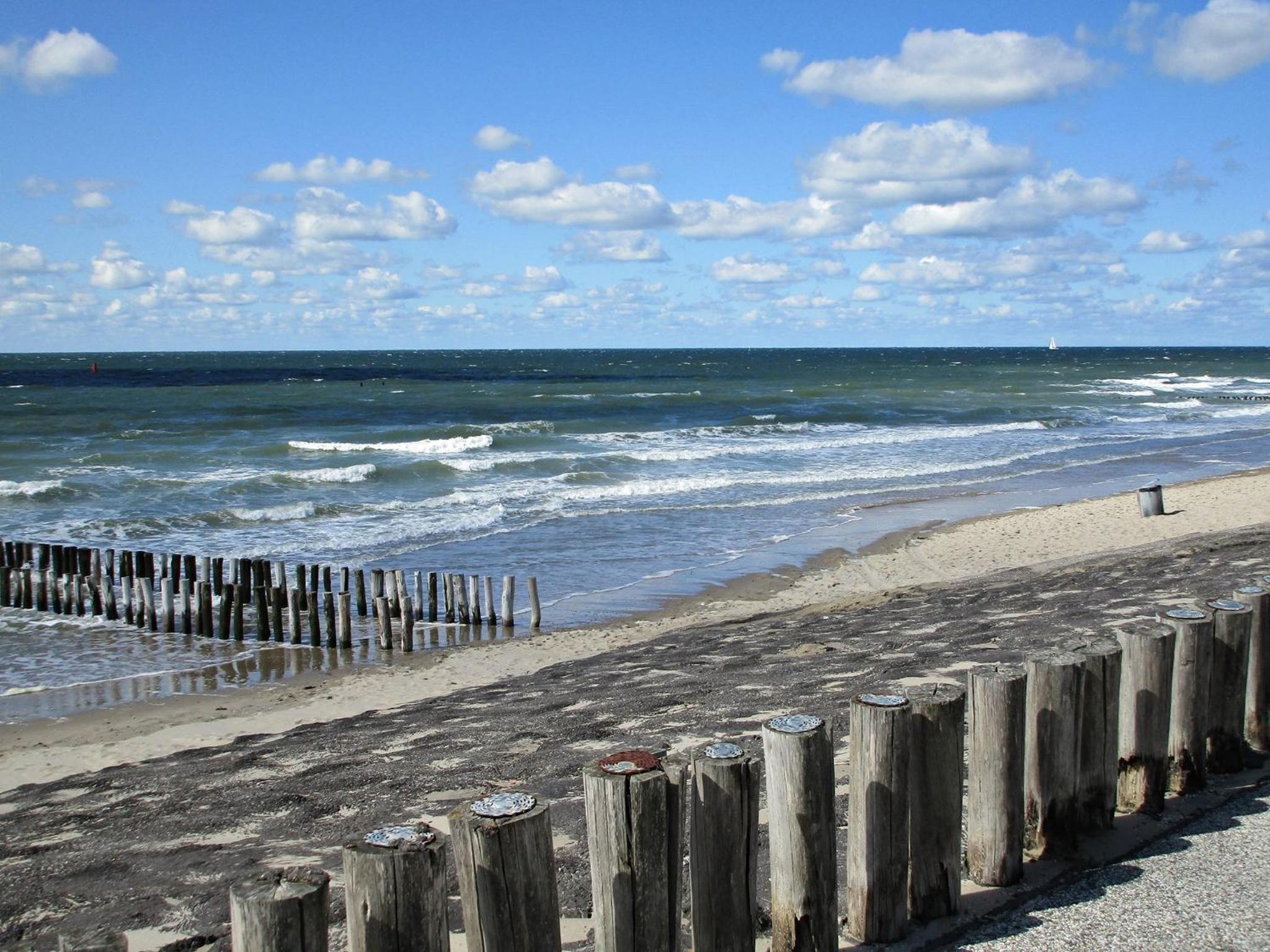 Westerschelde B&B, photo 28