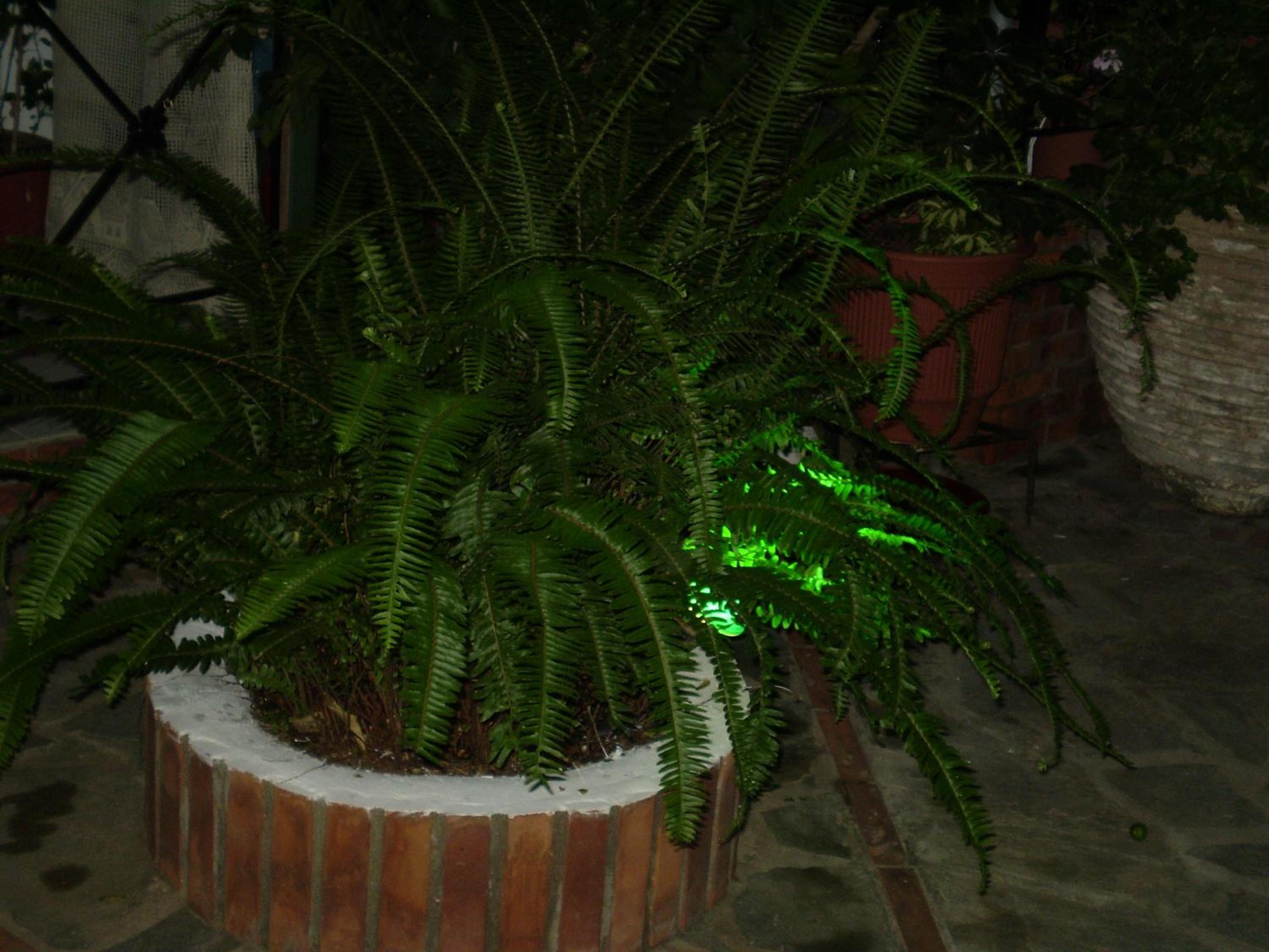 Photo 58