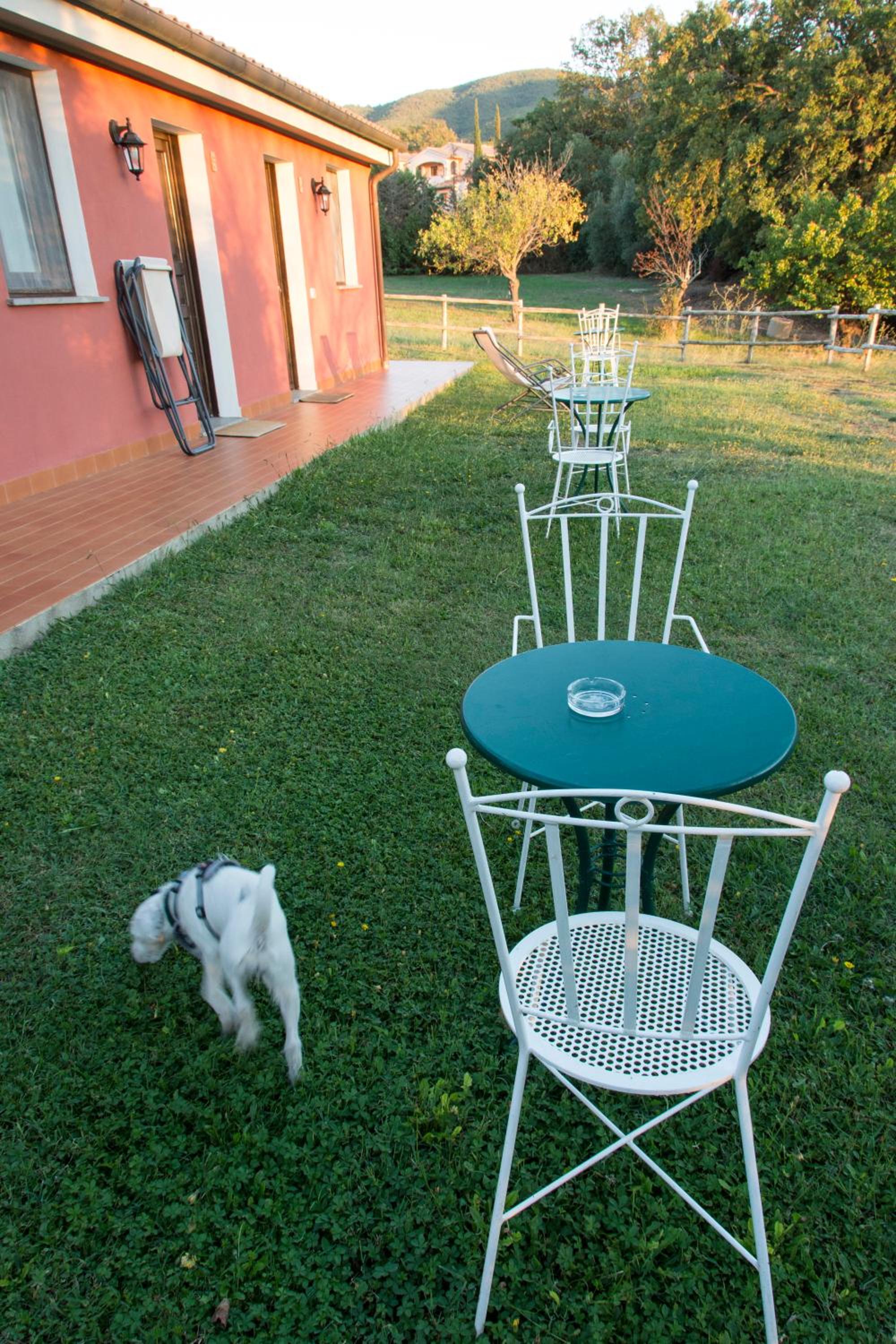 Photo 33