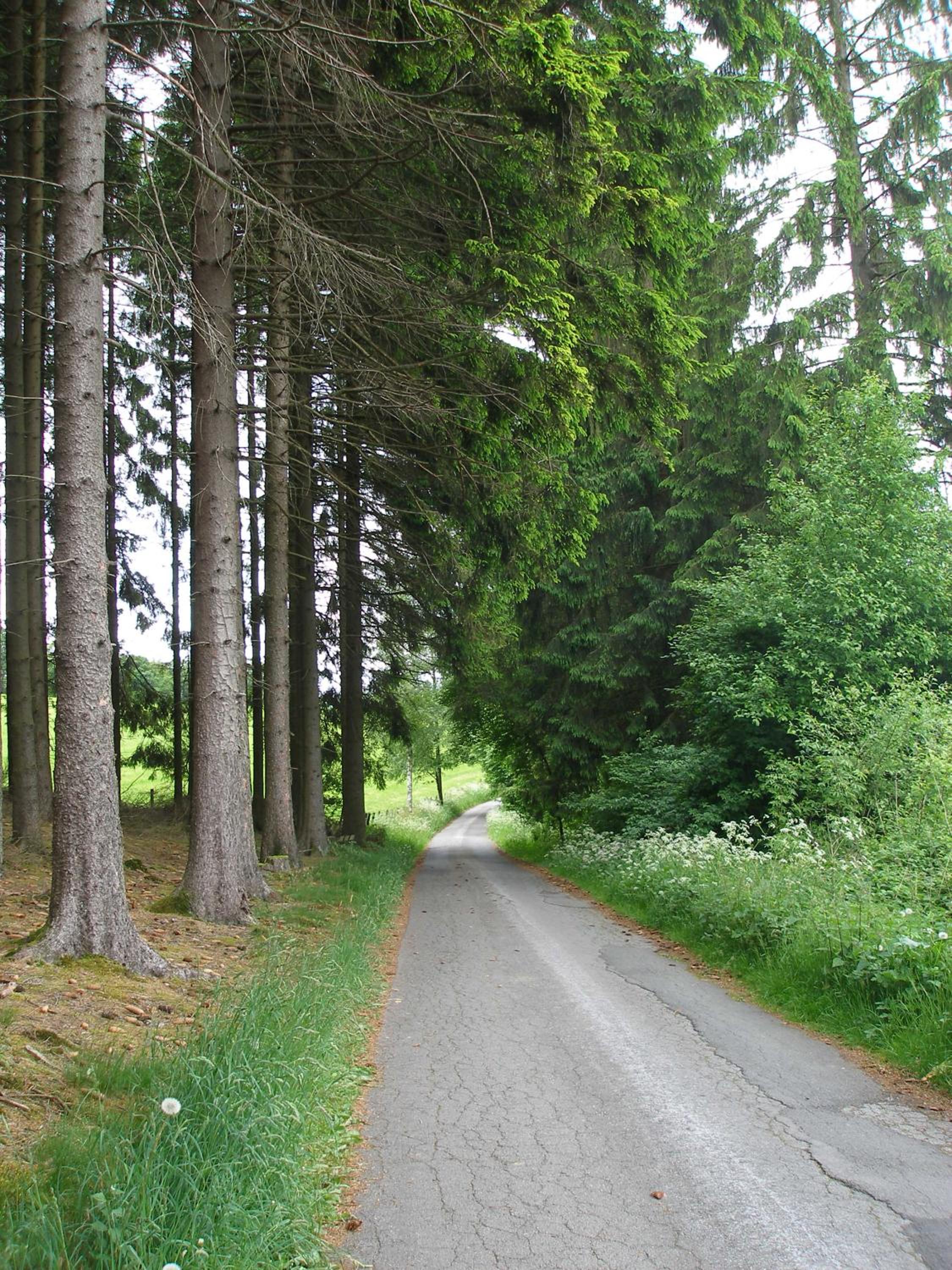 Ferienhof Hoppe view 5