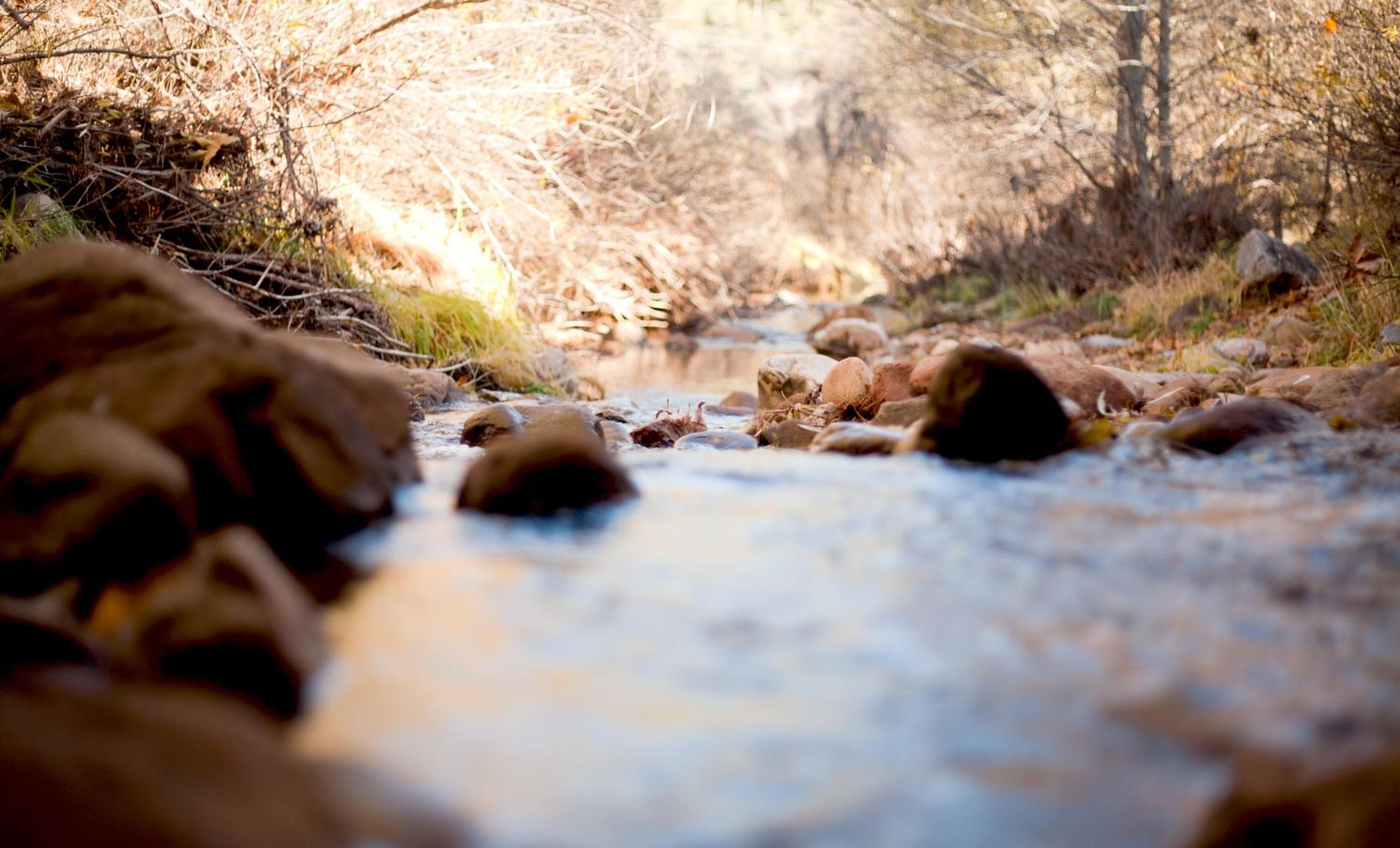 Payson Vacations - Kohl's Ranch Lodge - Property Image 7