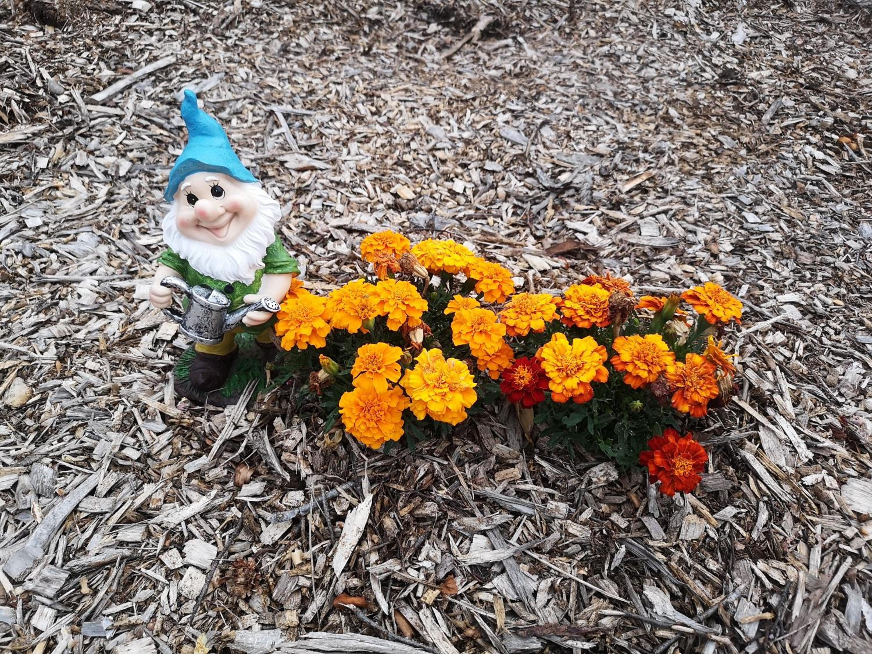 Photo 31