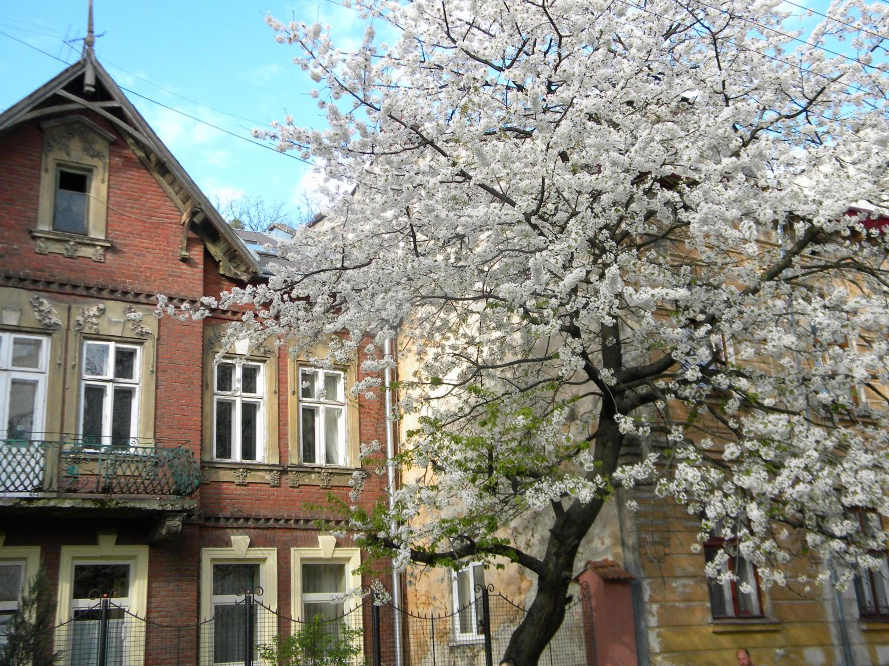 Studios at Anchevskih 3