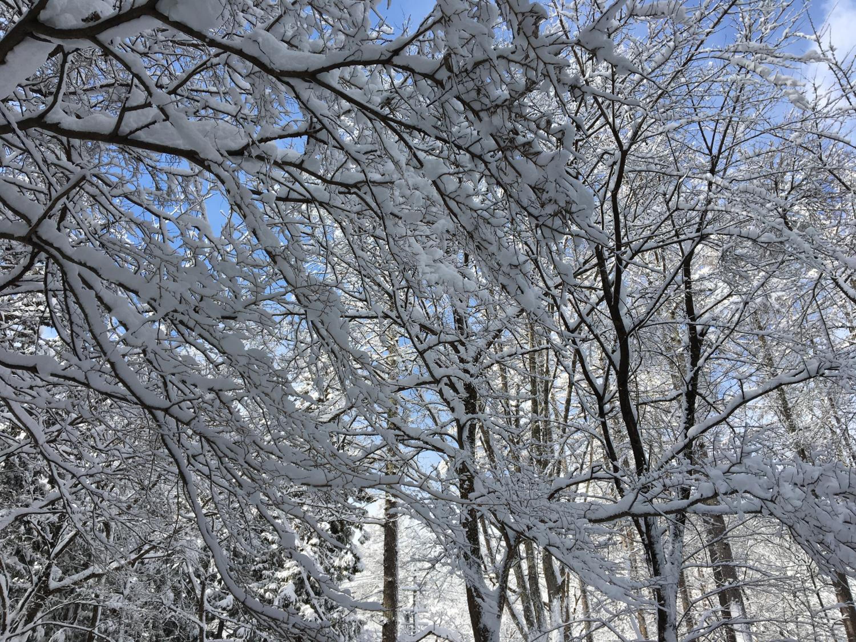 Hakuba Cottage Gram view 3