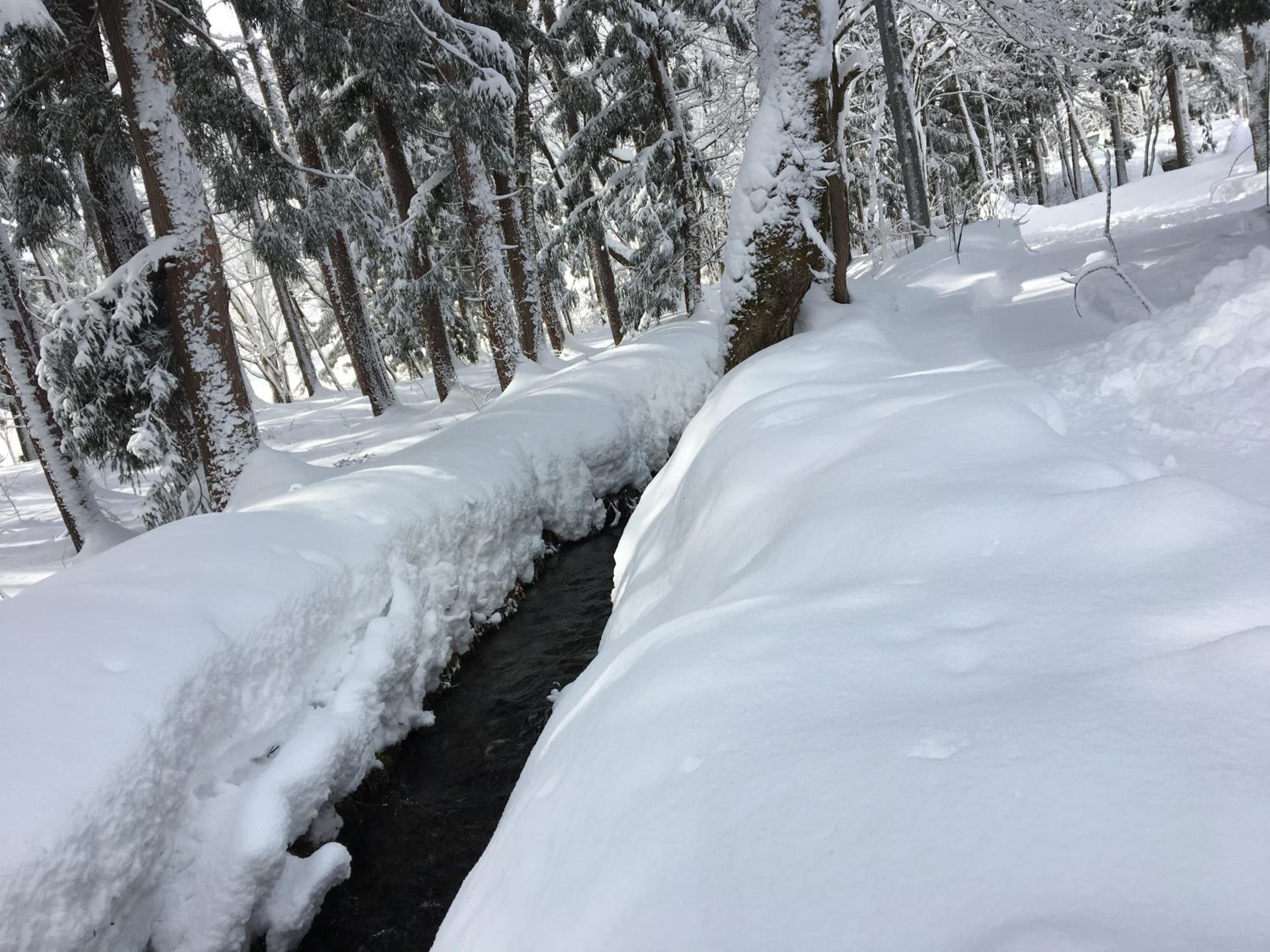 Hakuba Cottage Gram view 4