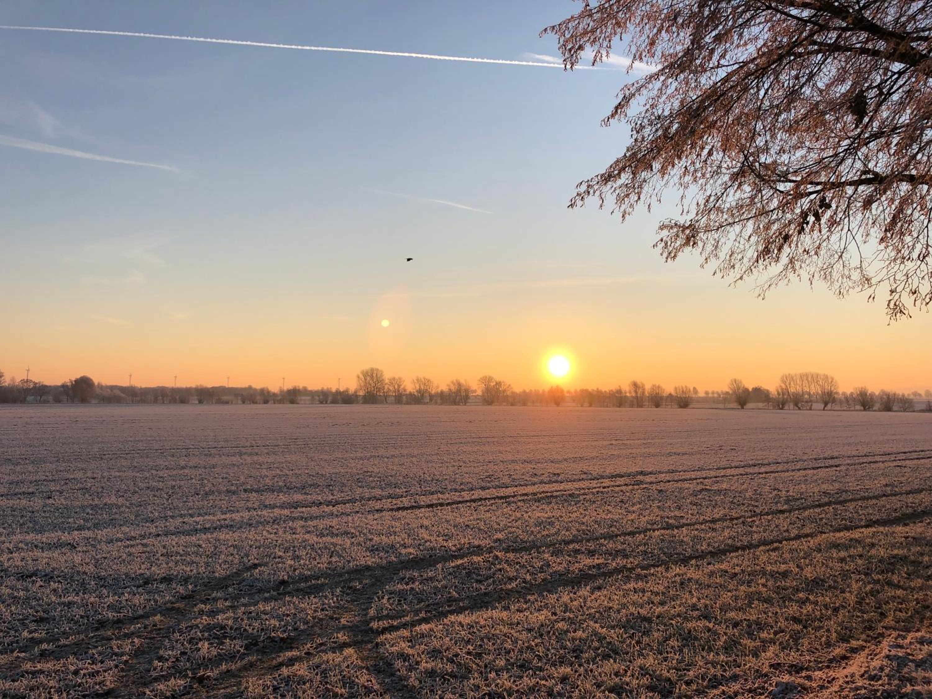 Gestorfer Kötnerhof Business und Landlust