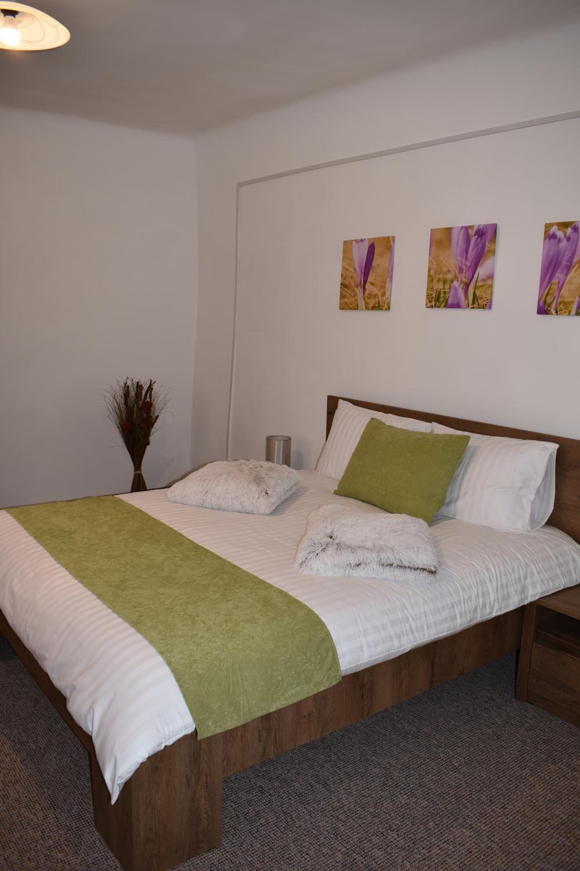 Apartament Zimbru view 4