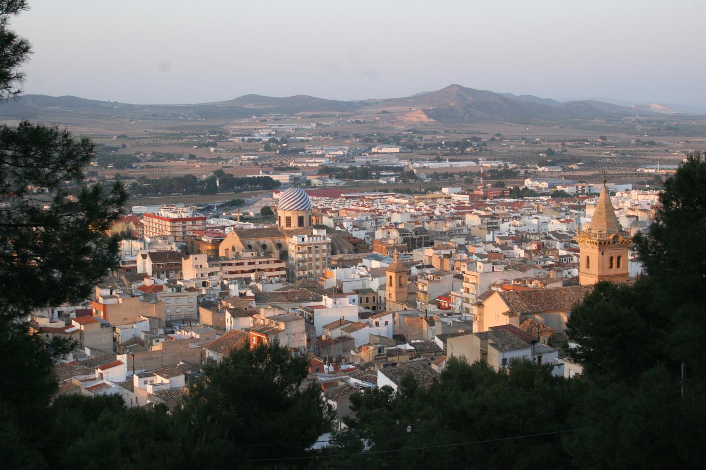 Photo 10