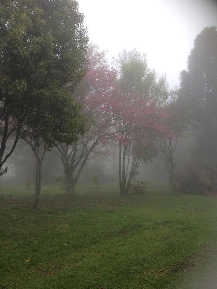 Sitio da Paz Celestial