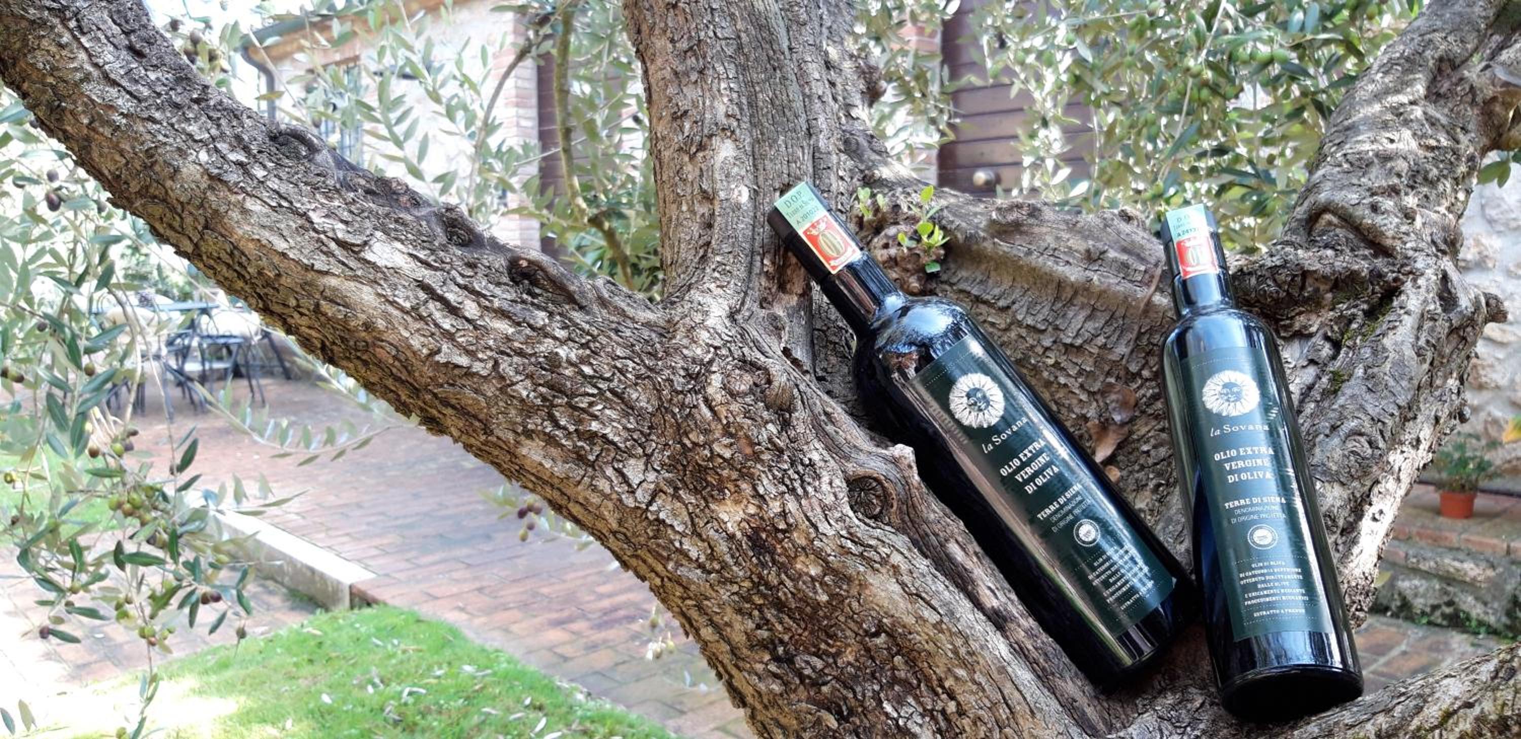 Agriturismo La Sovana photo 4