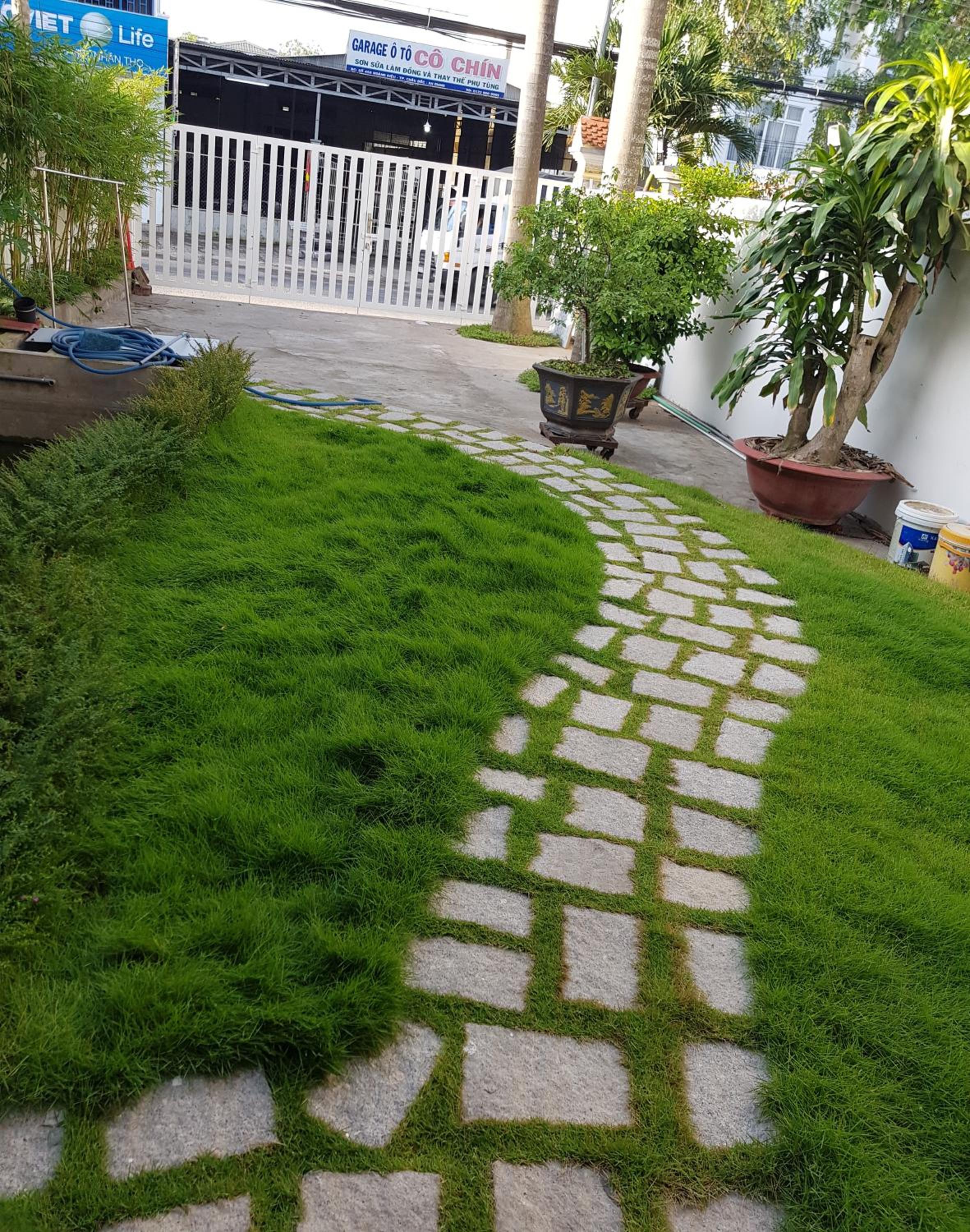 Photo 20