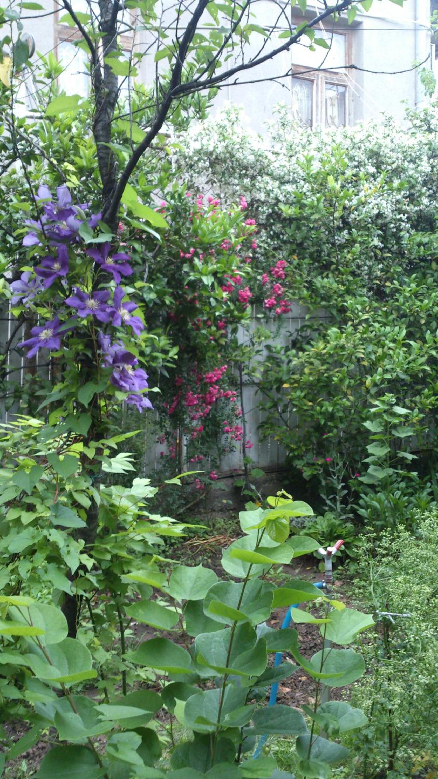 Photo 34