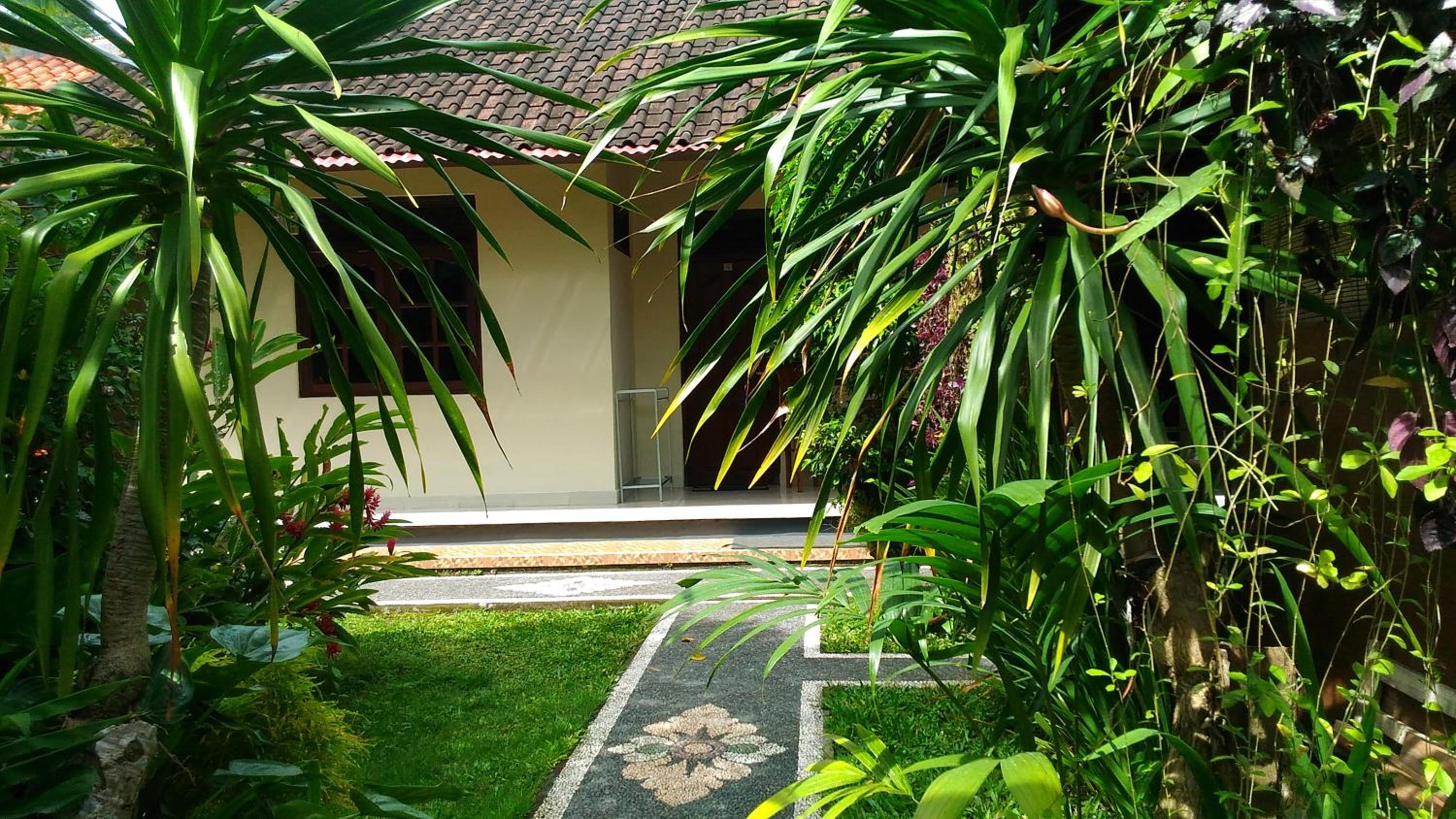 Photo 13