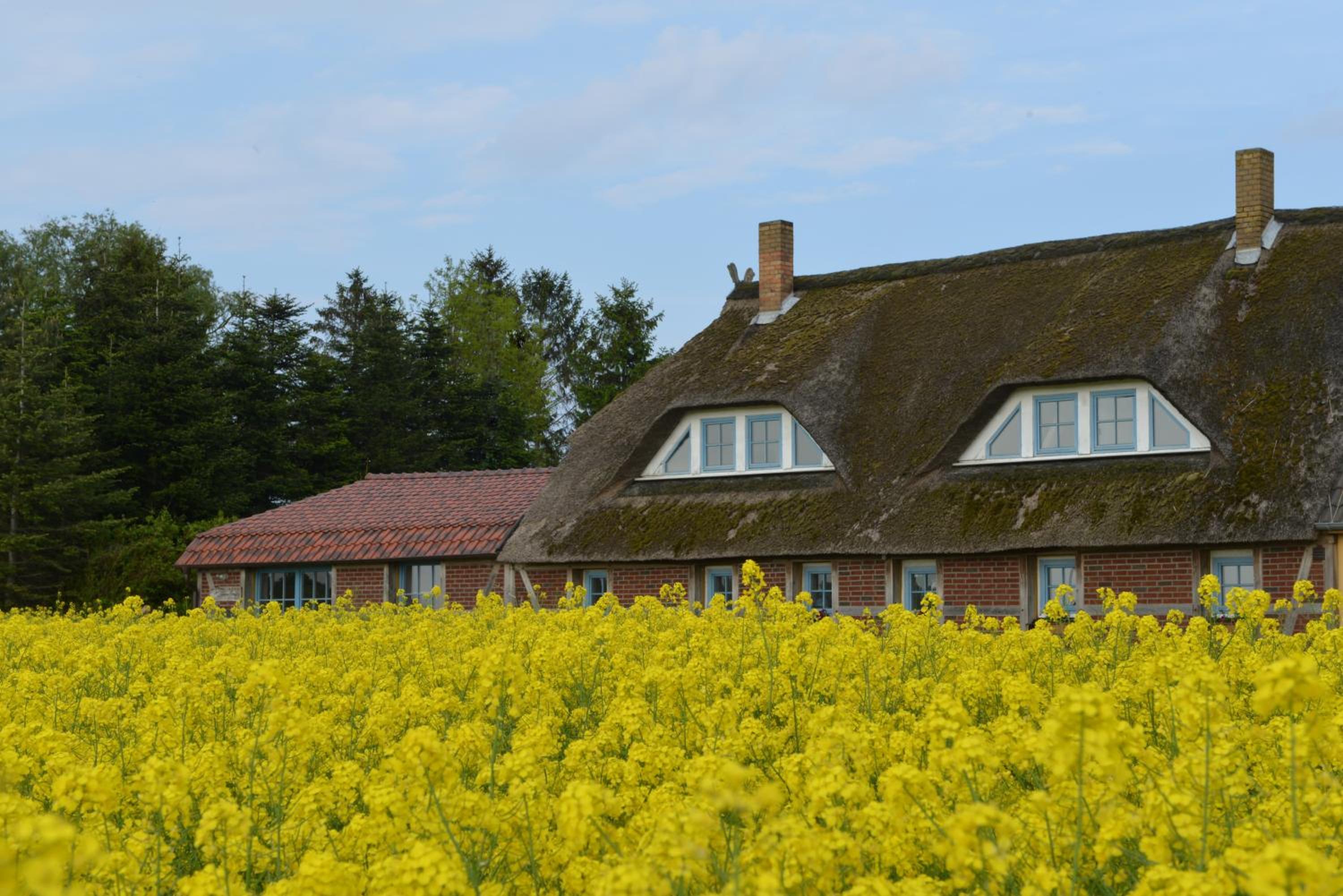 Landhaus Maltzien - Auszeit auf dem Land