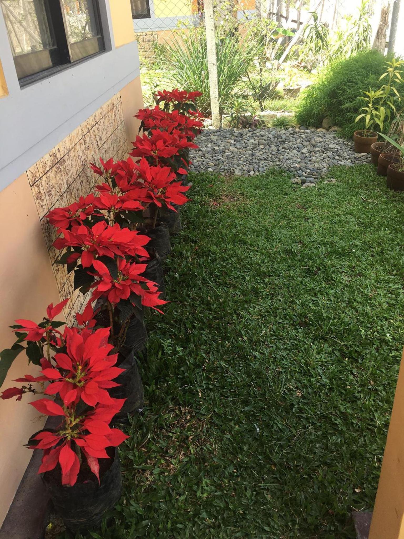 Jireh’s Guests Home
