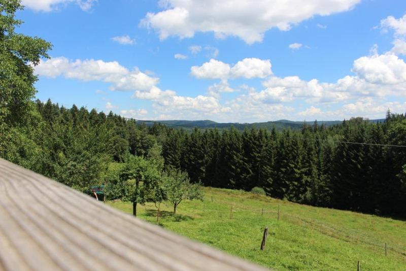 Sigmundenhof Schonach view 4
