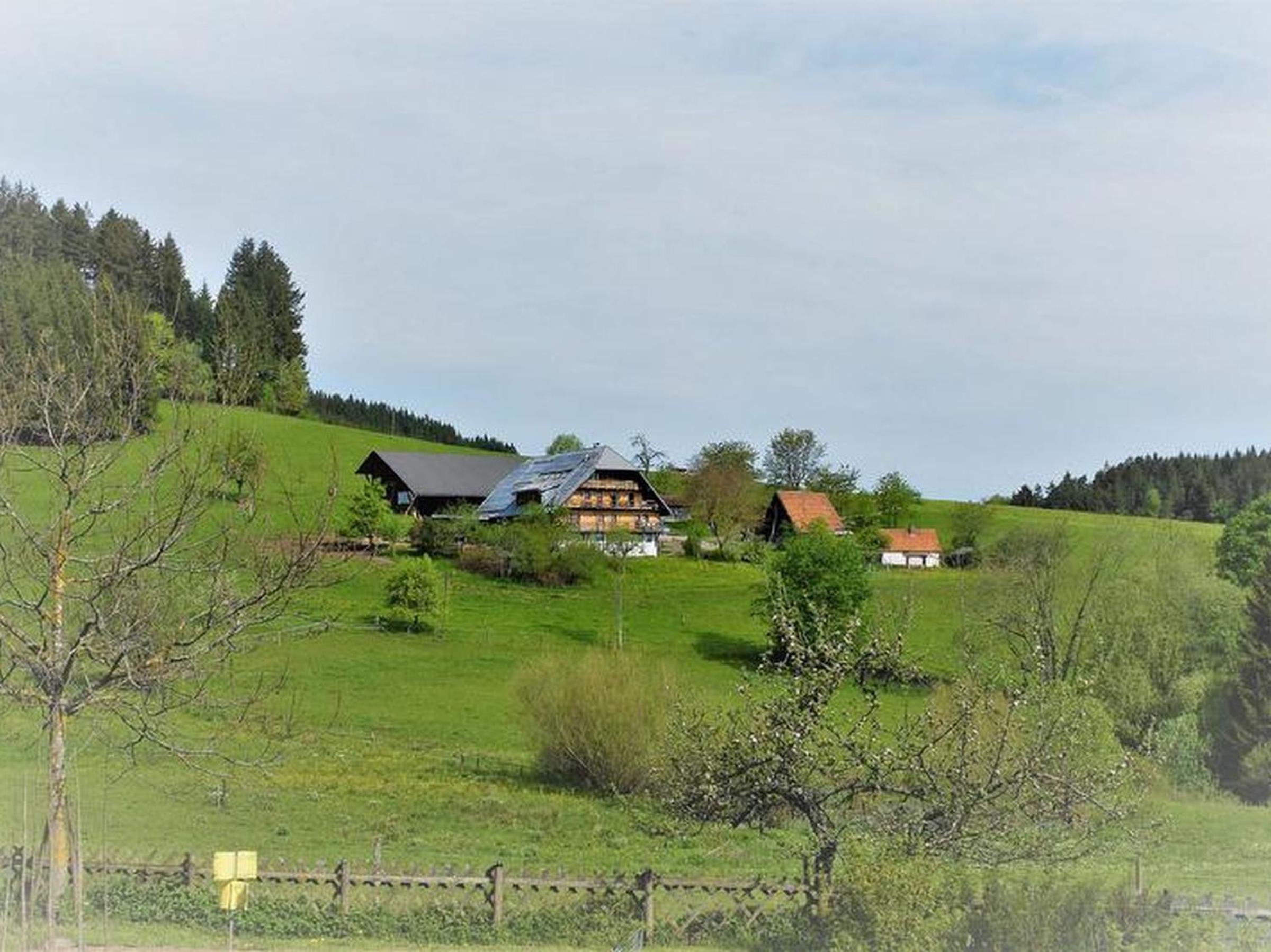 Sigmundenhof Schonach view 3