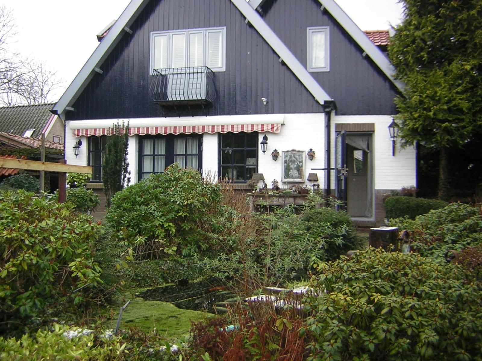 Photo 8