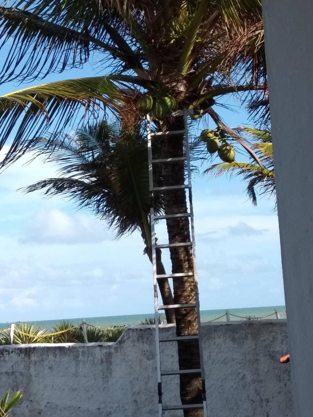 A 2 passos do paraíso