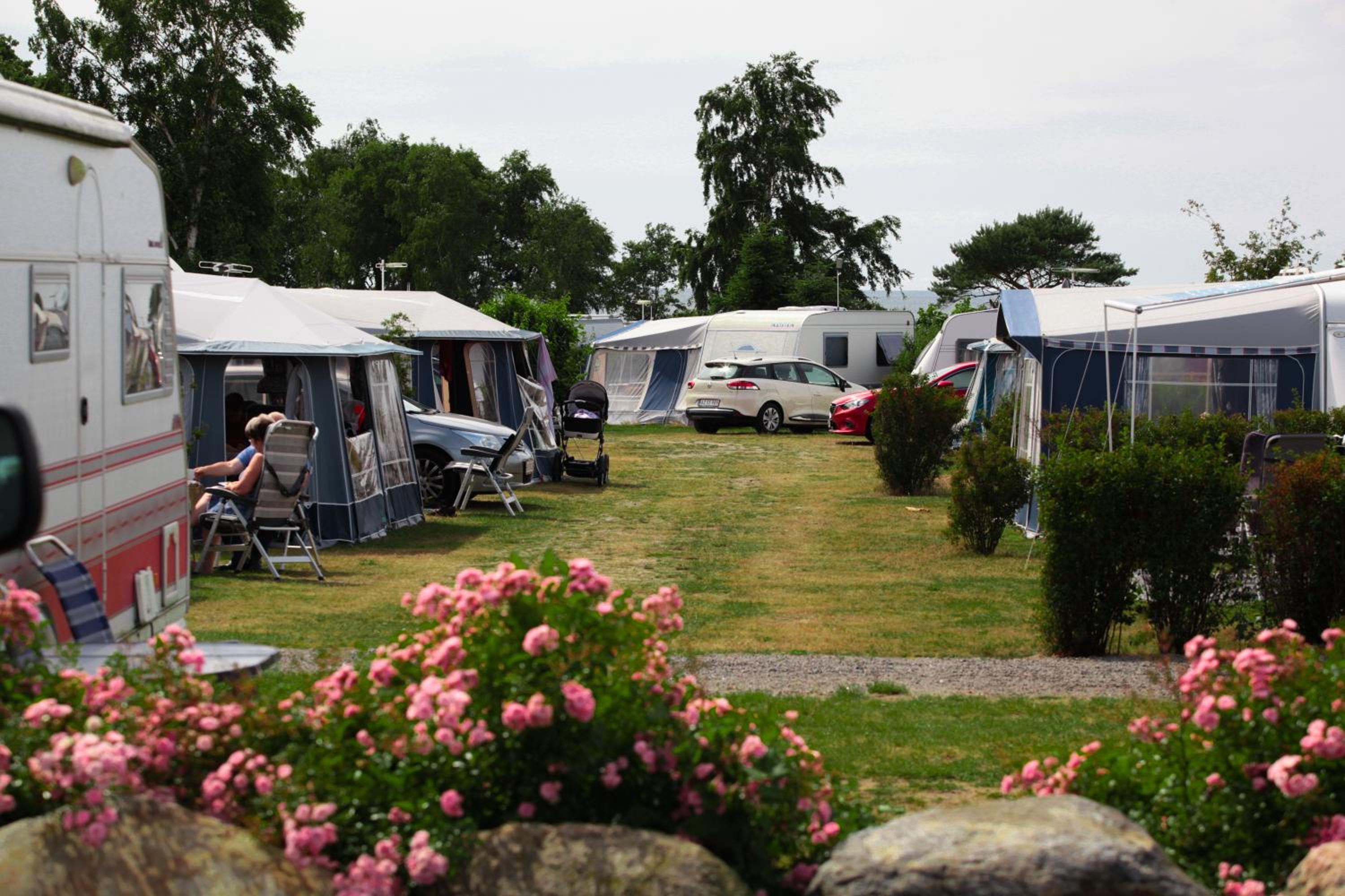 Hasle Camping (Empty Lots) view 5