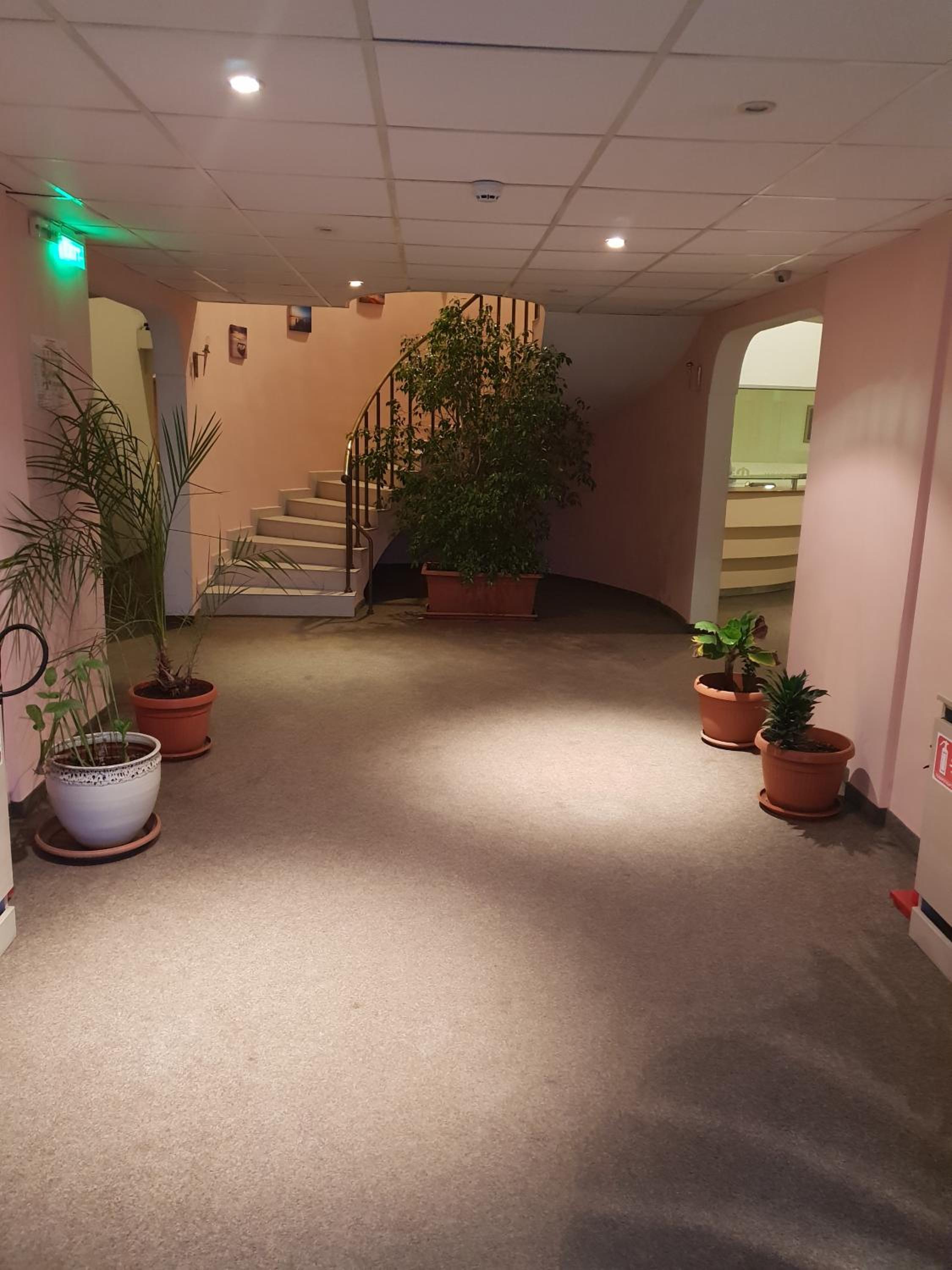 Hostel Elena