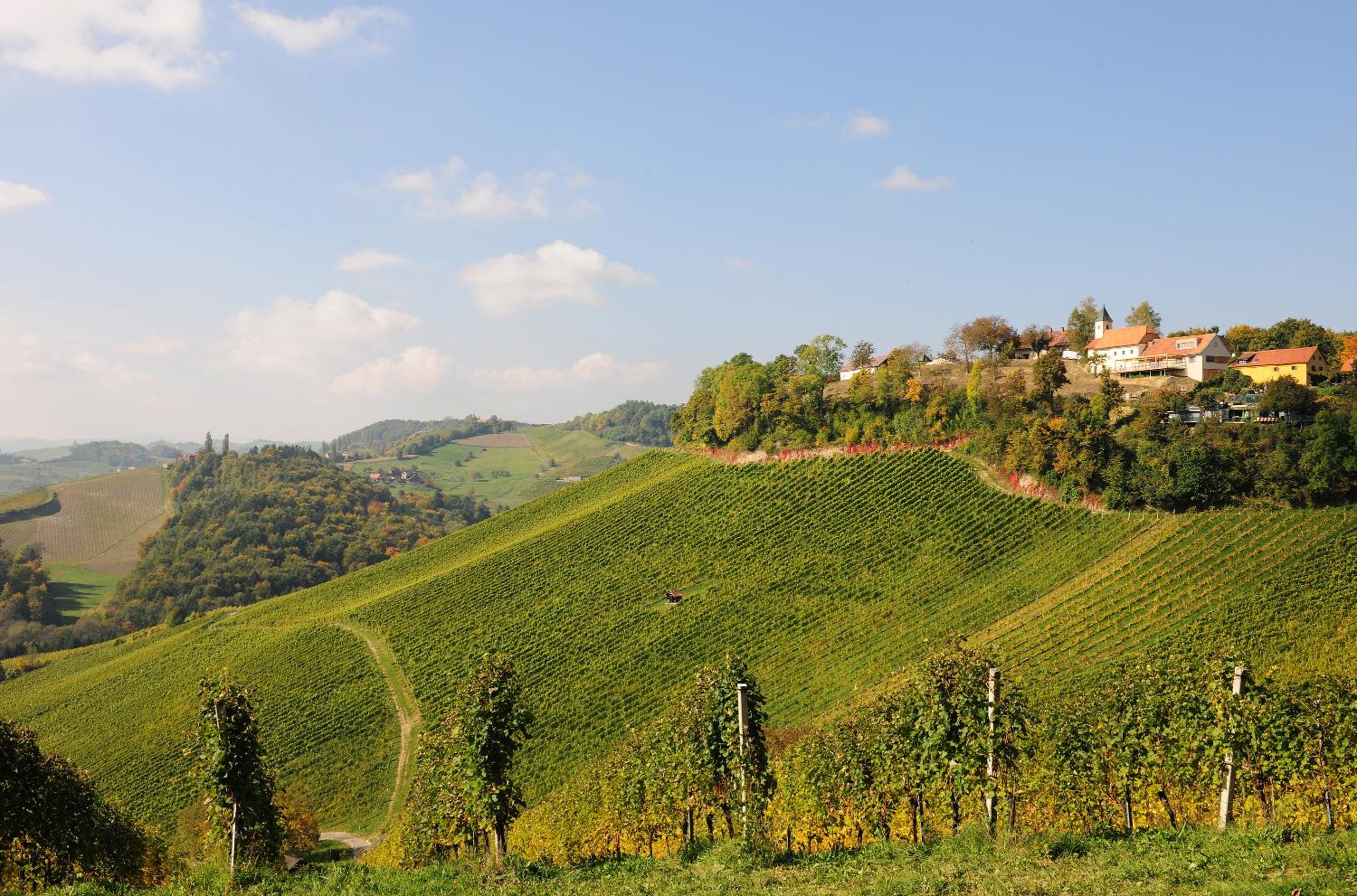 Winzarei, Weingut Tement