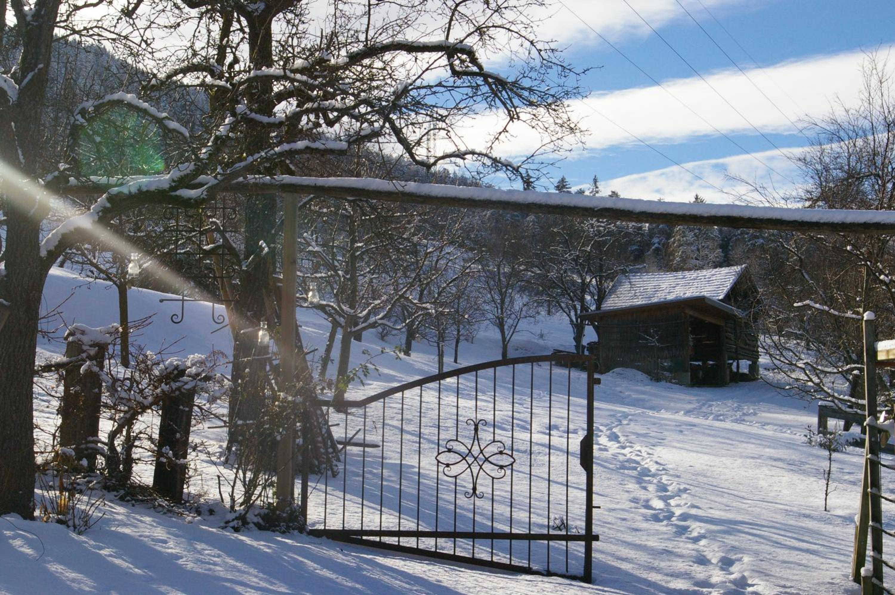 Thalerhof