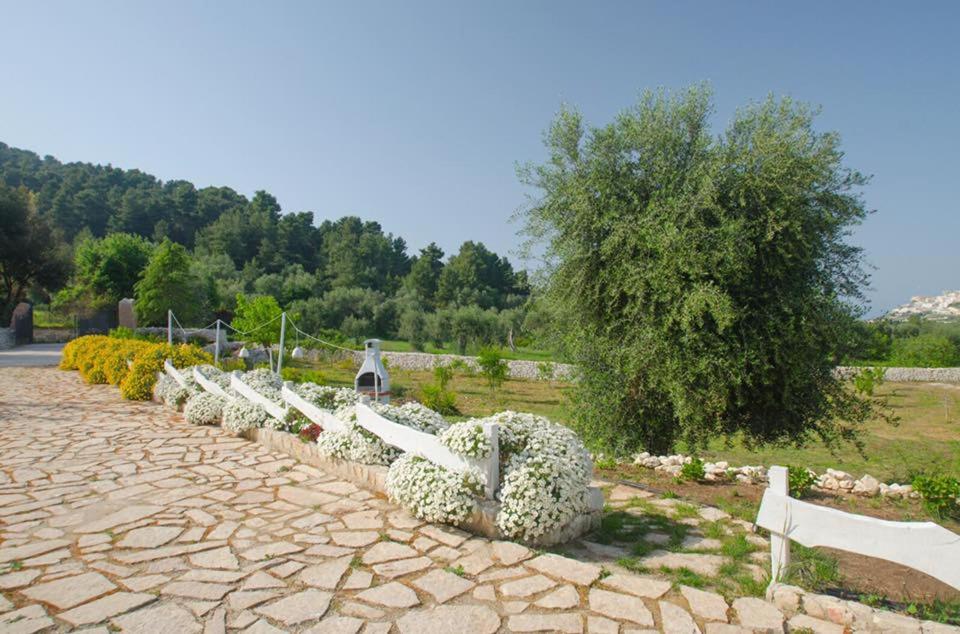 Photo 20
