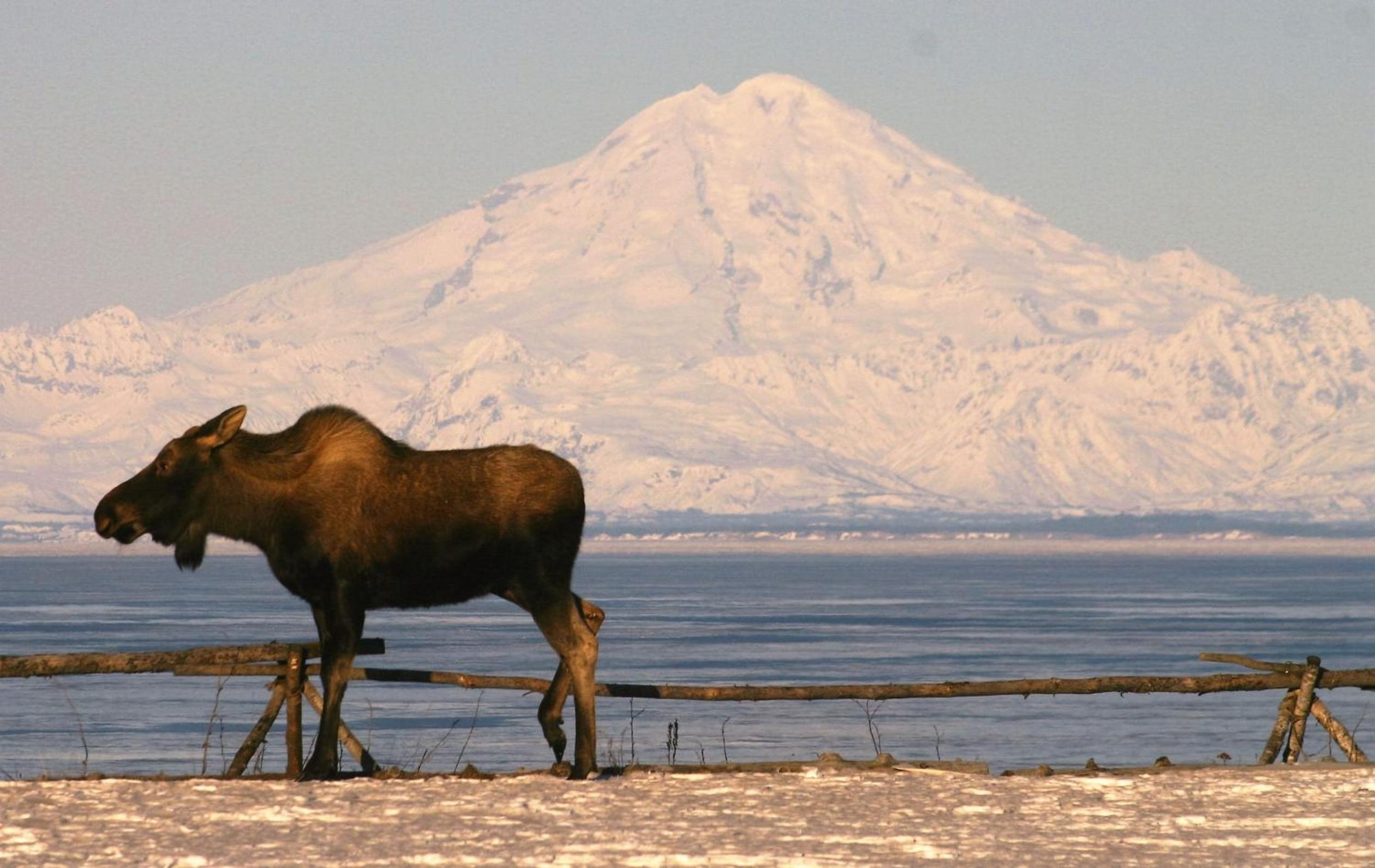 Clam Gulch Lodge view 5