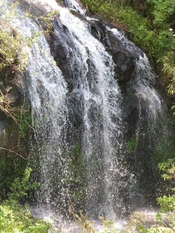 Photo 41